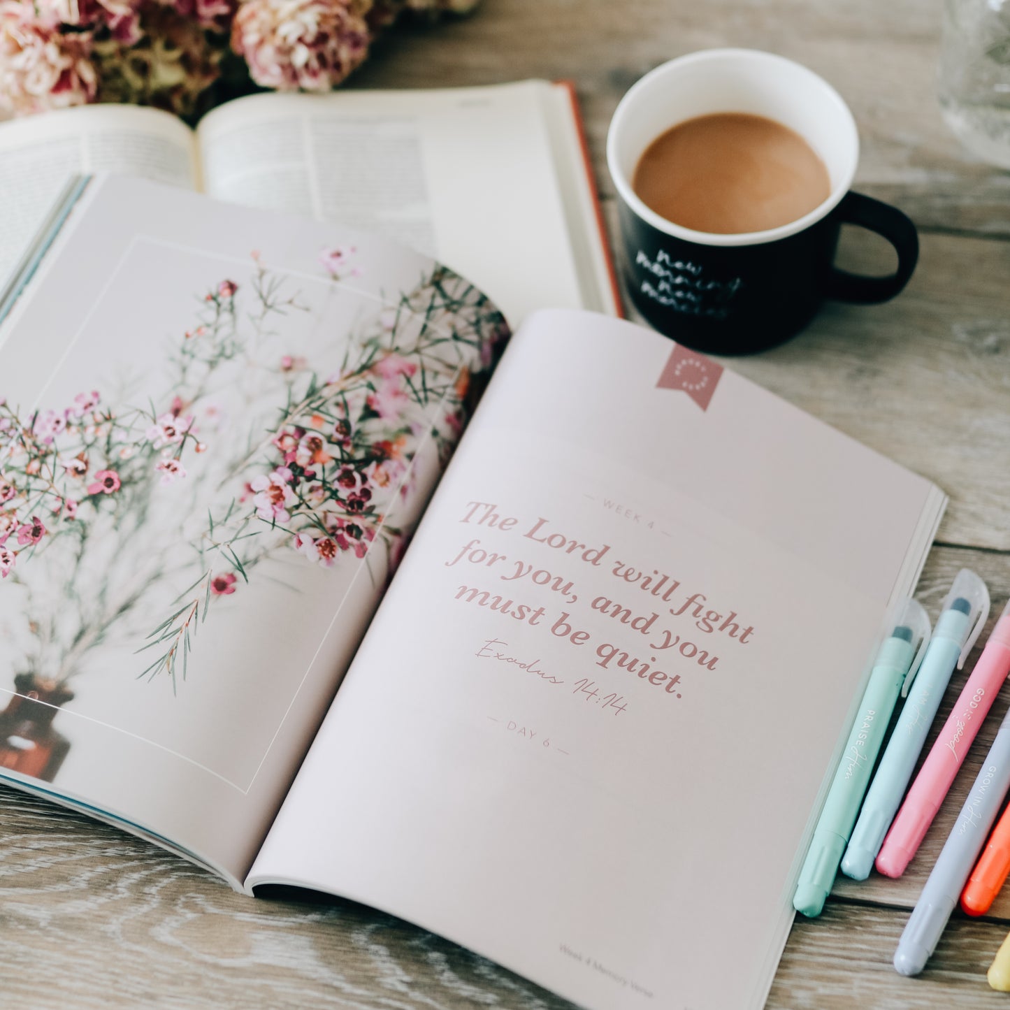 Faithful | From Eden to Eternity
