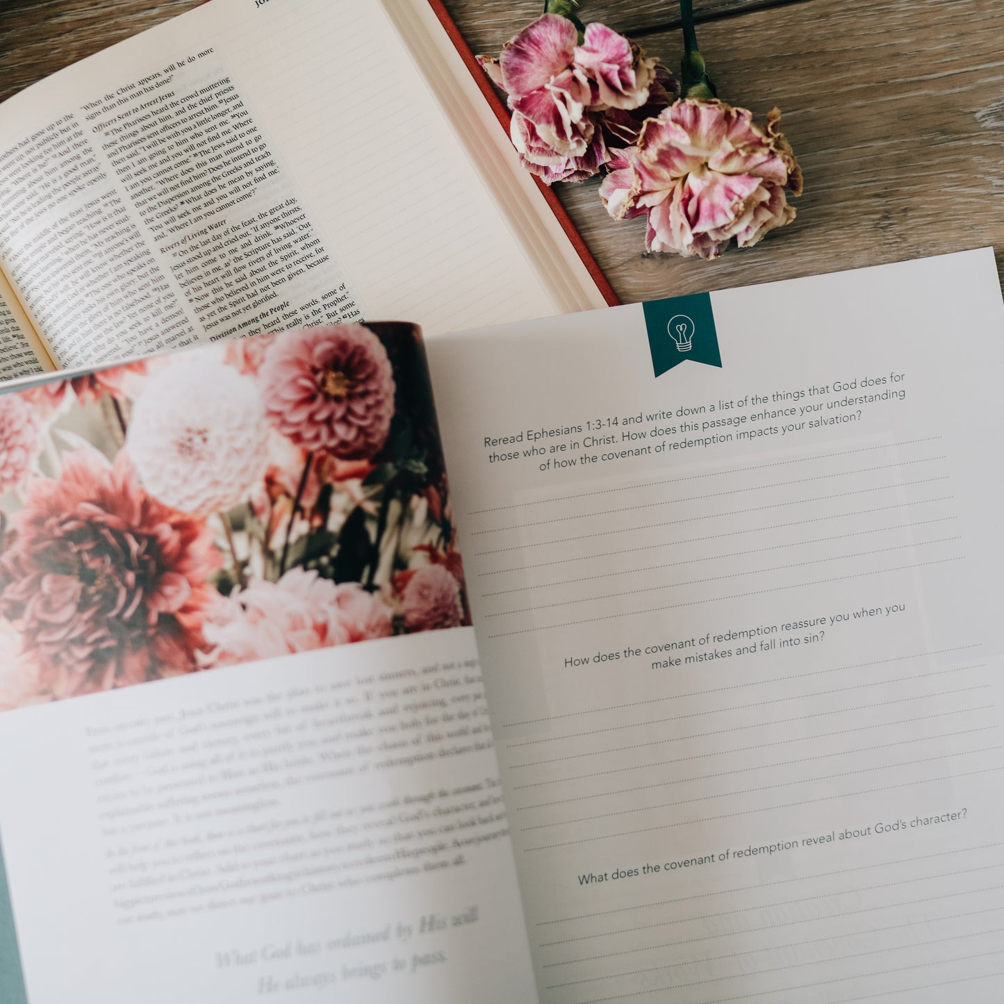 Faithful | From Eden to Eternity