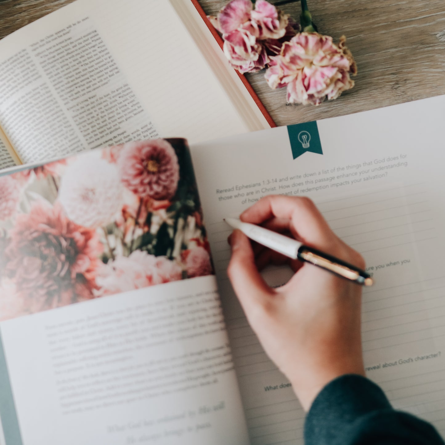 Faithful | From Eden to Eternity