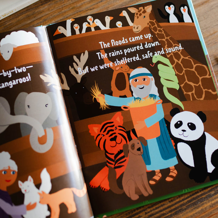 noahs ark childrens book