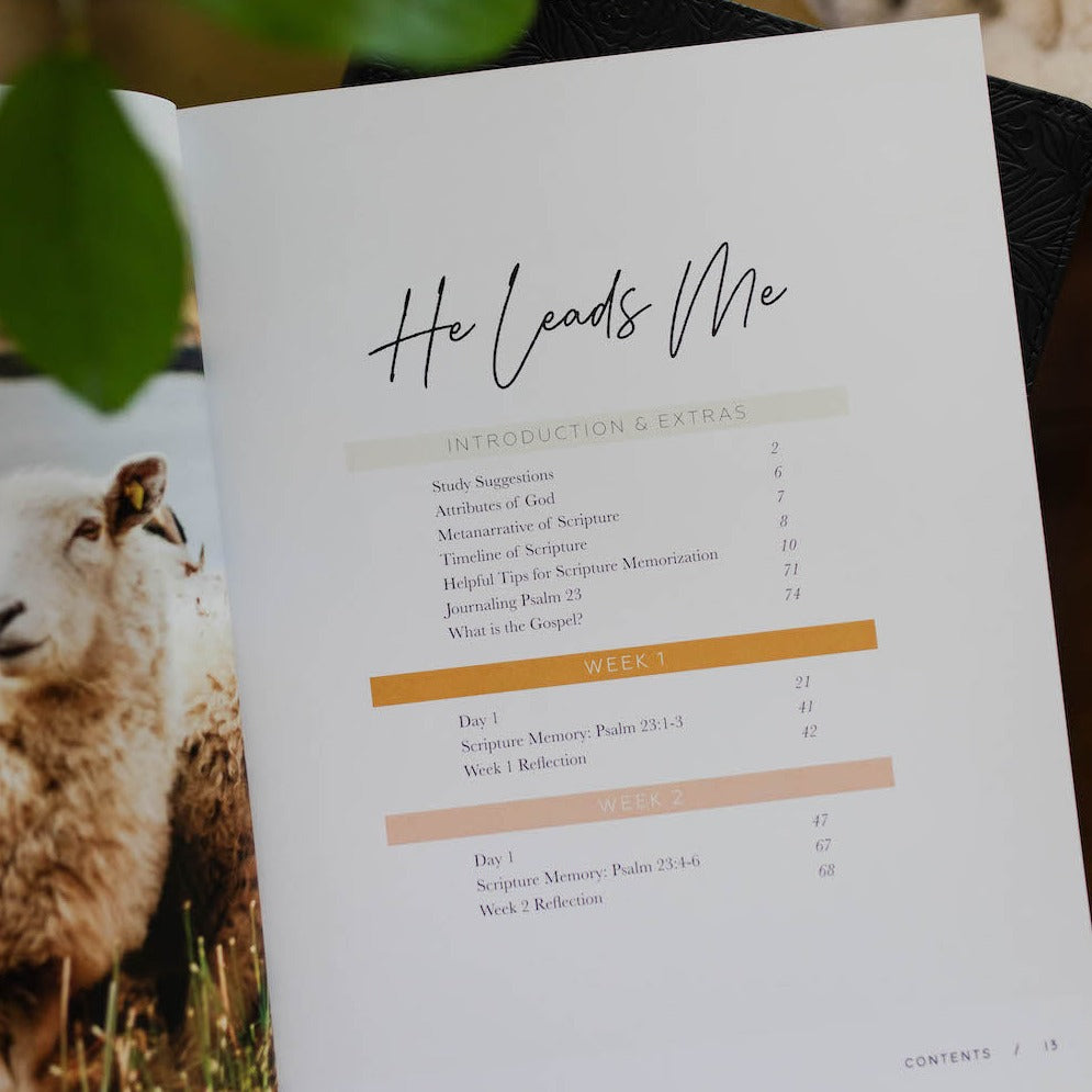 Psalm 23 women’s Bible study Table of Contents