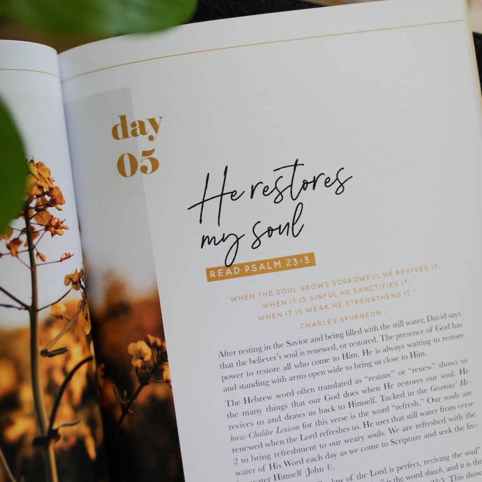 Bible Study on Psalm 23 for Christian women