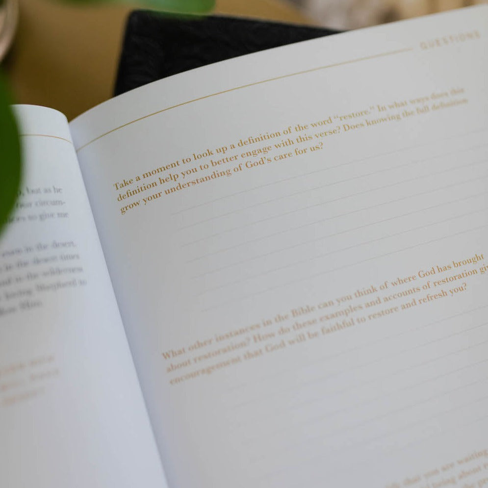 Daily Reflection Question in Psalm 23 Bible Study