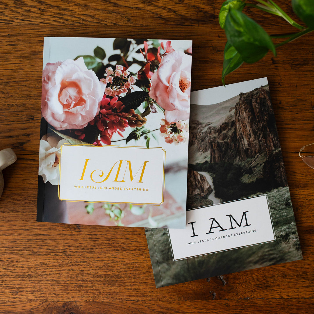I Am statements of Jesus Bible Study for men and women
