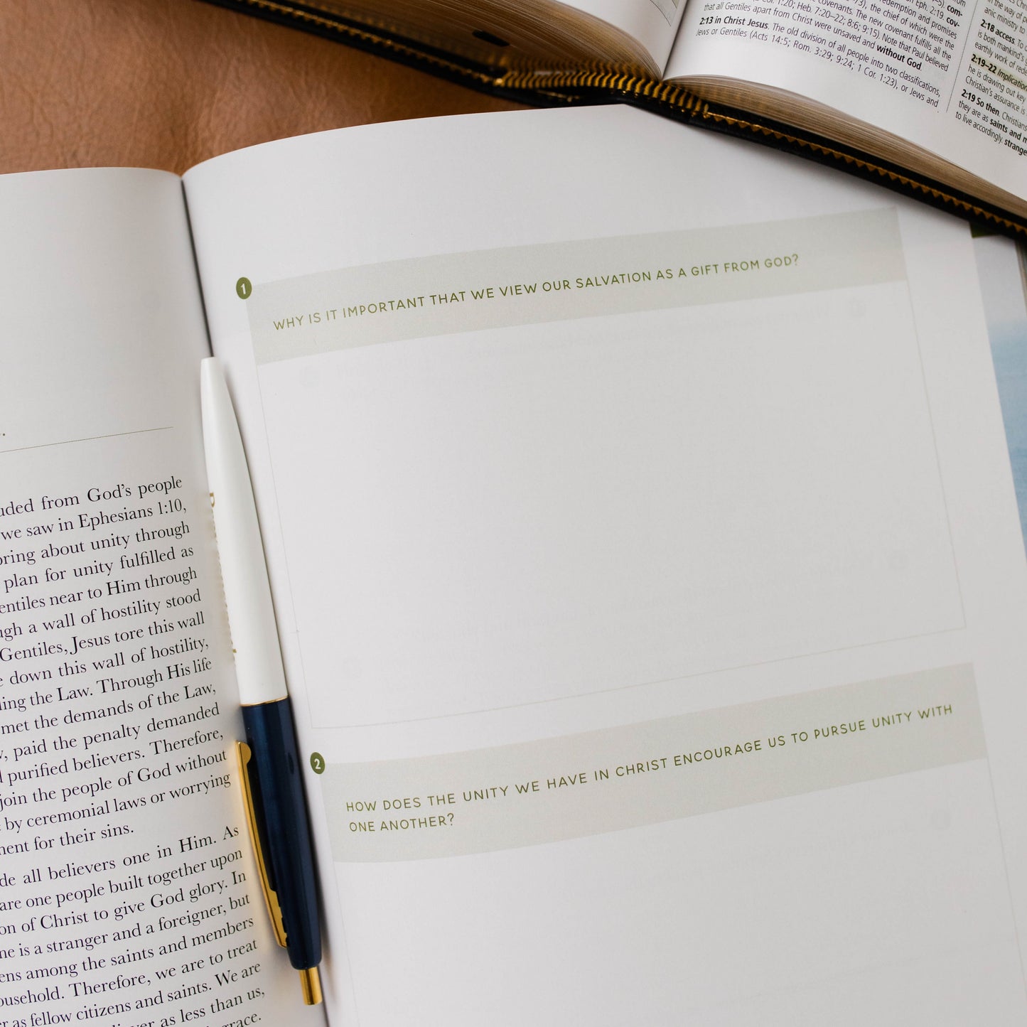 Behold: A Study of the New Testament | Volume 3 | 1 Corinthians - Titus - Men | TDGC