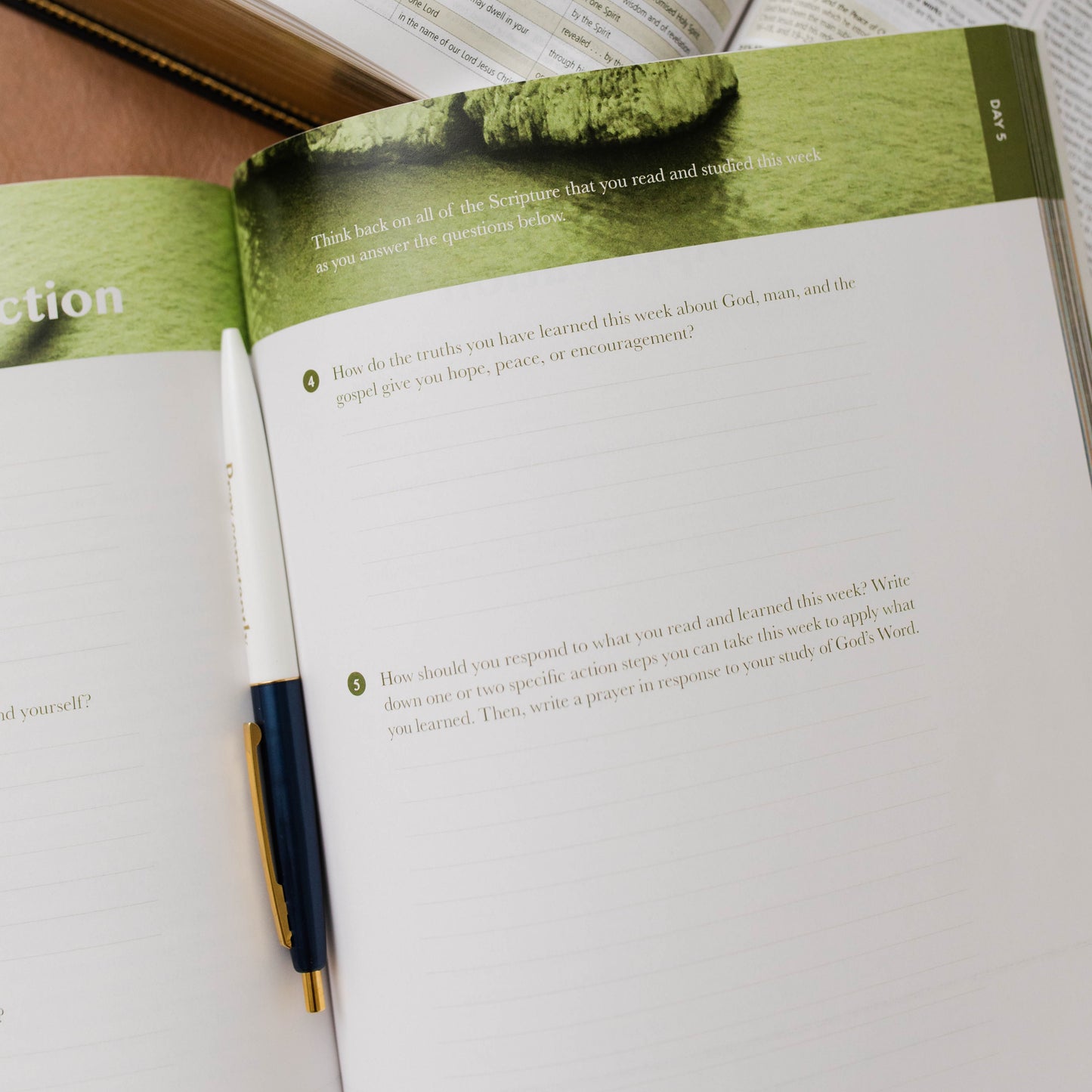 Behold: A Study of the New Testament | Volume 3 | 1 Corinthians - Titus - Men | TDGC