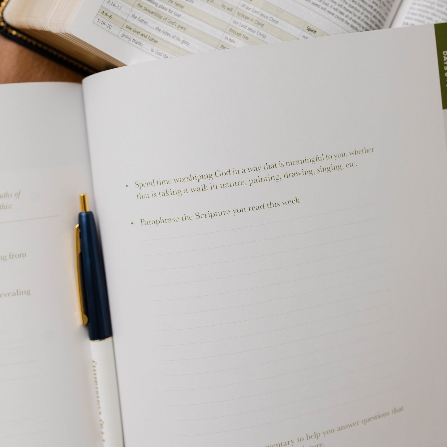 Behold: A Study of the New Testament | Volume 3 | 1 Corinthians - Titus - Men | TDGC