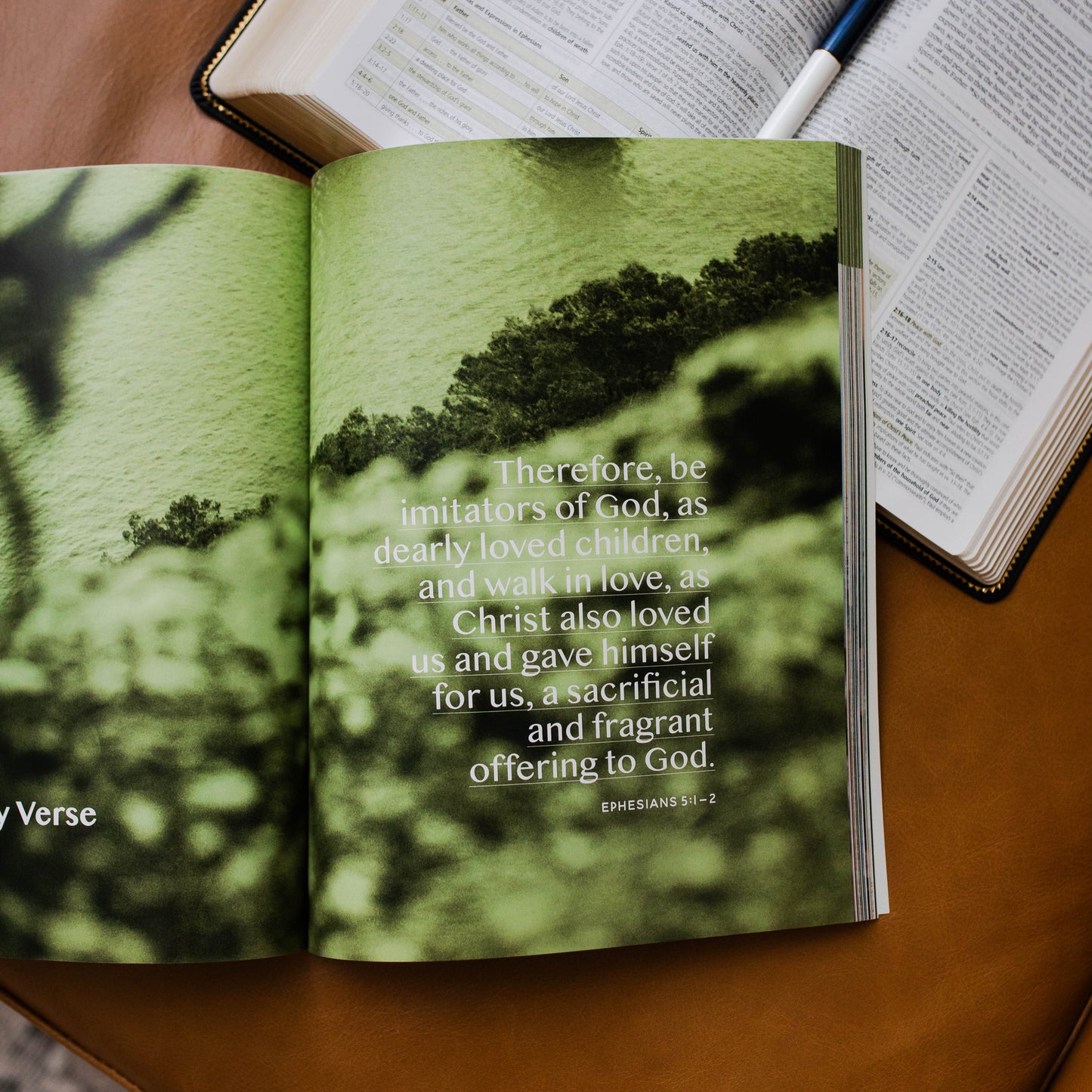 Behold: A Study of the New Testament | Volume 3 | 1 Corinthians - Titus - Men | TDGC