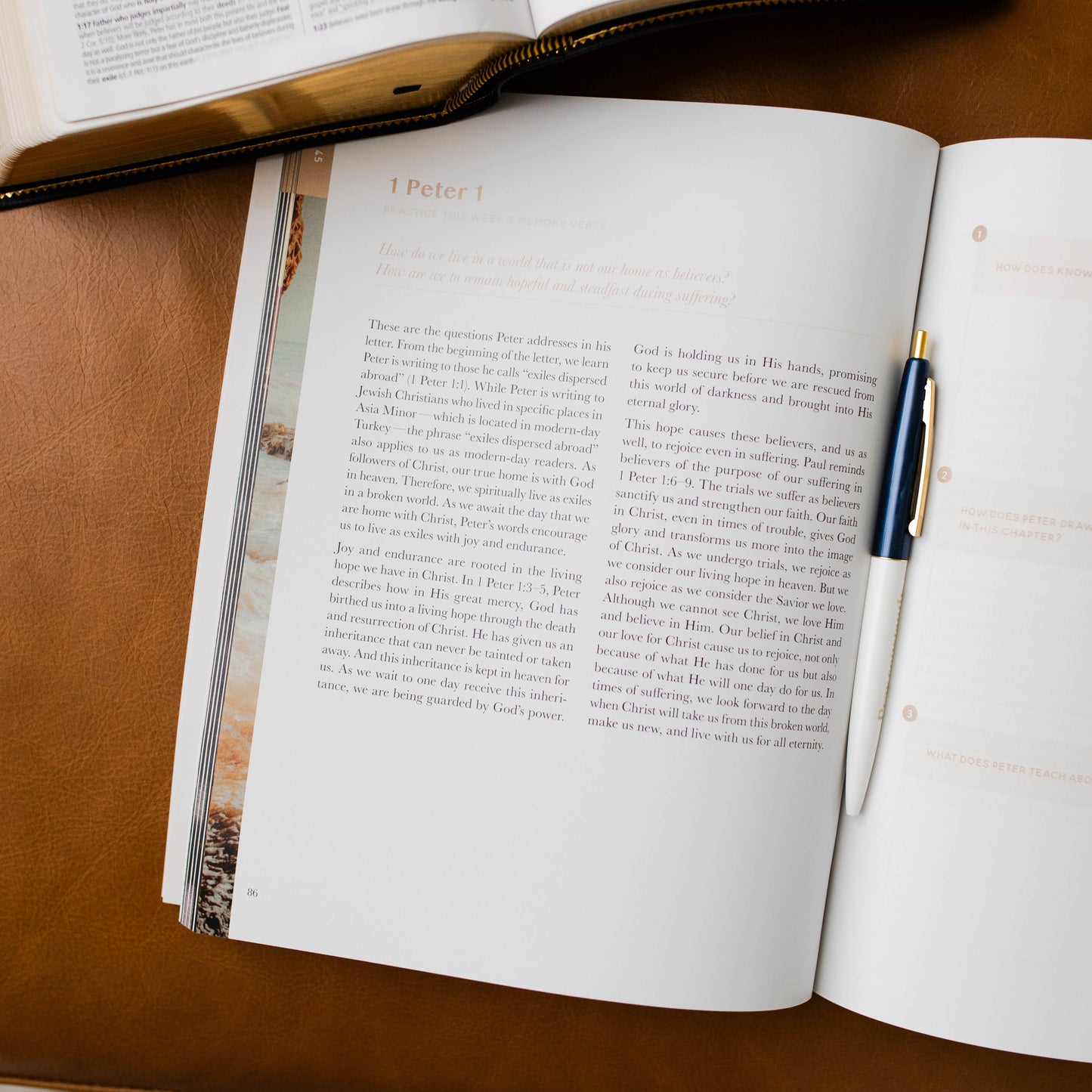 Behold: A Study of the New Testament | Volume 4 | Philemon - Revelation - Men | TDGC