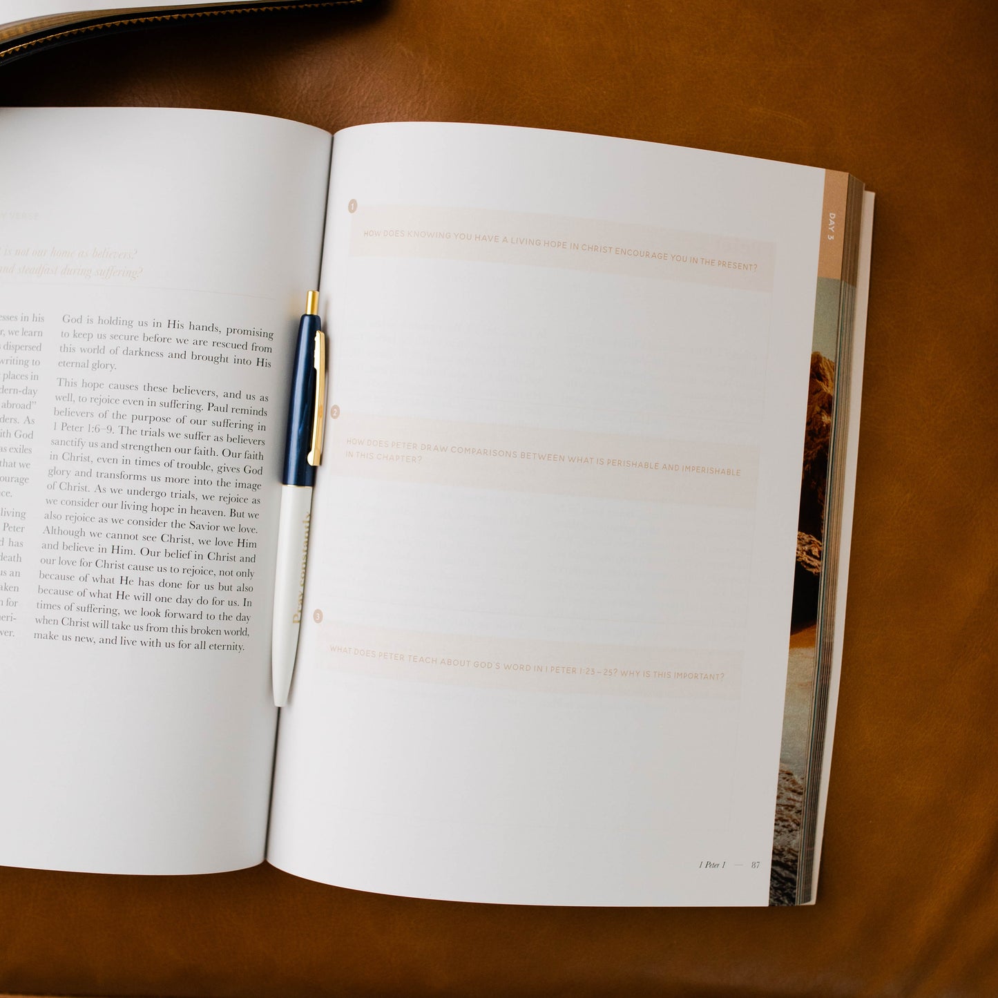 Behold: A Study of the New Testament | Volume 4 | Philemon - Revelation - Men | TDGC