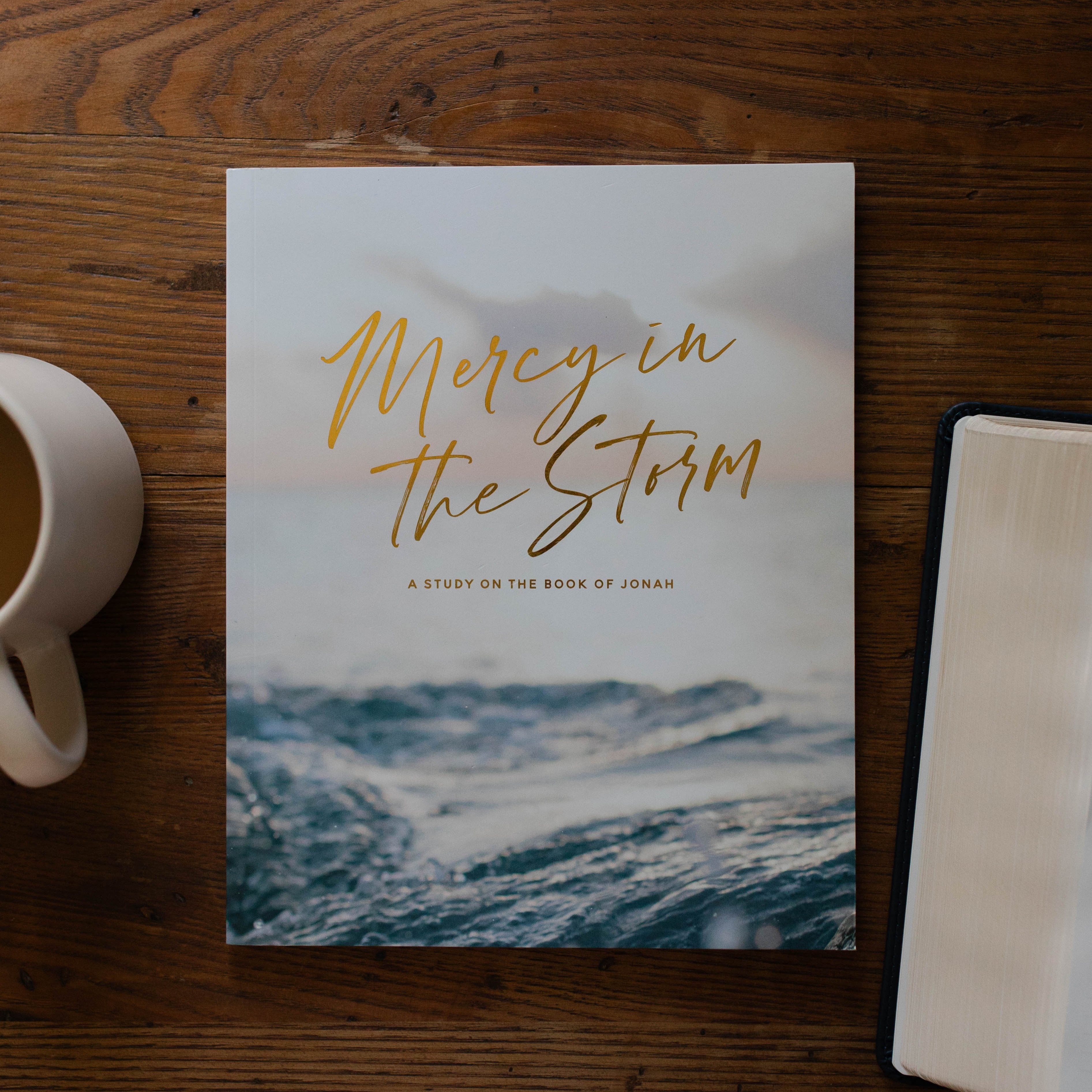 MercyInTheStorm_Jonah_Matte168