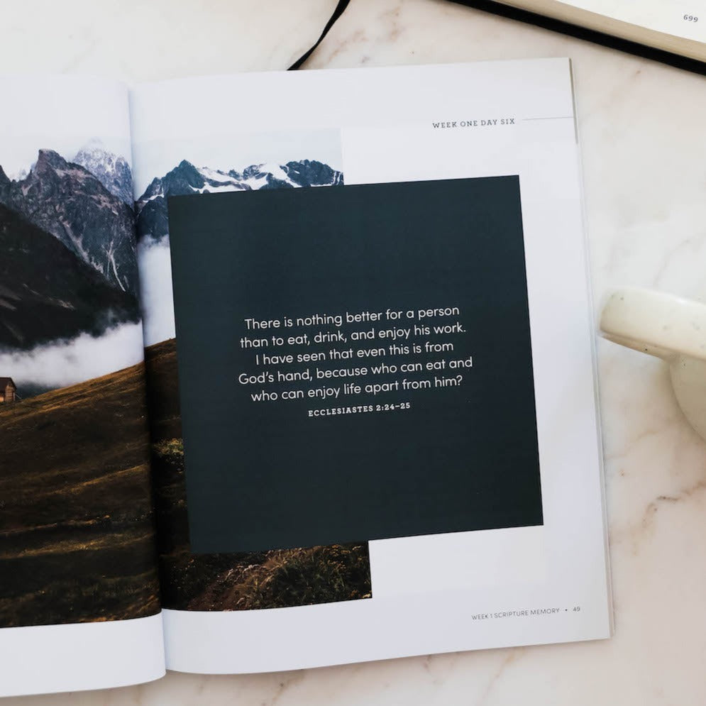 Path to Purpose | A Study on the Book of Ecclesiastes - Men