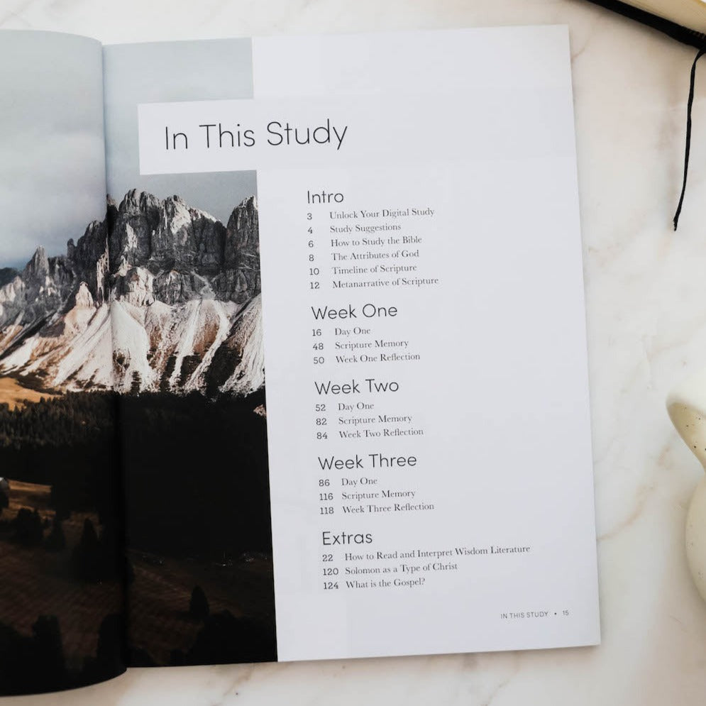 Path to Purpose | A Study on the Book of Ecclesiastes - Men