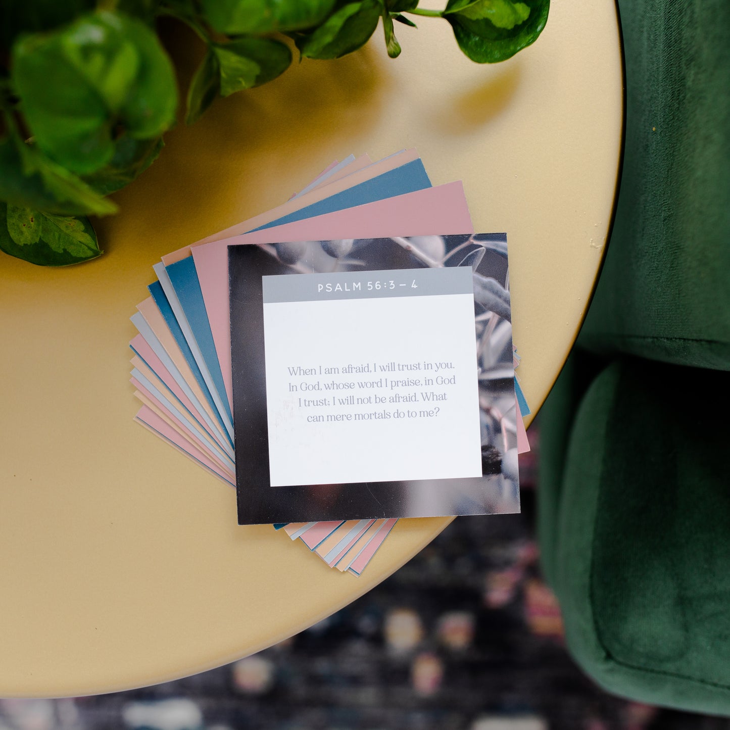Overcoming Your Fears Card Set | The Daily Grace Co.