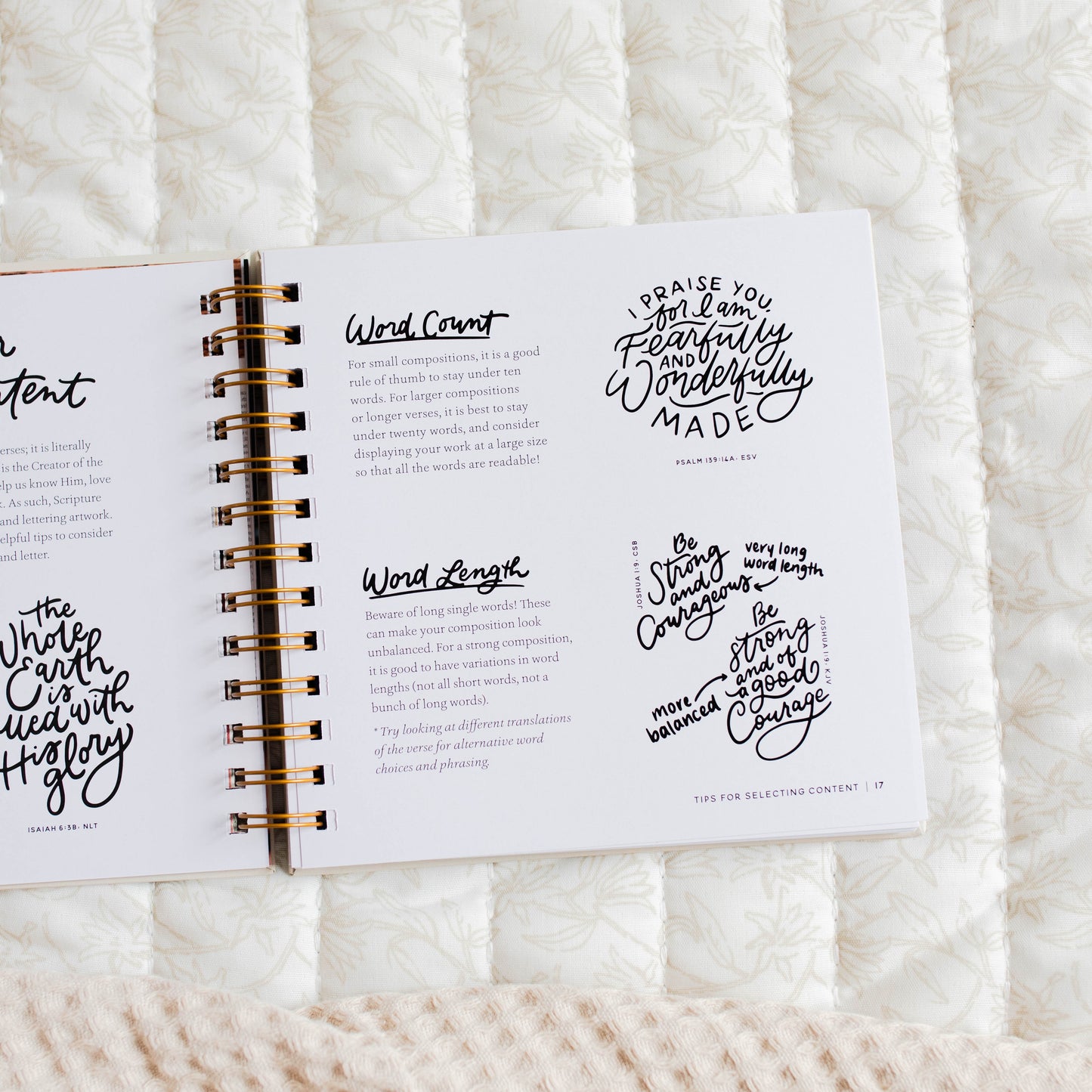 Scripture Workbook | The Daily Grace Co.