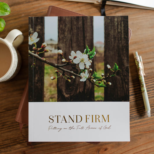 Stand Firm | Armor of God Study | Matte Paper | The Daily Grace Co.