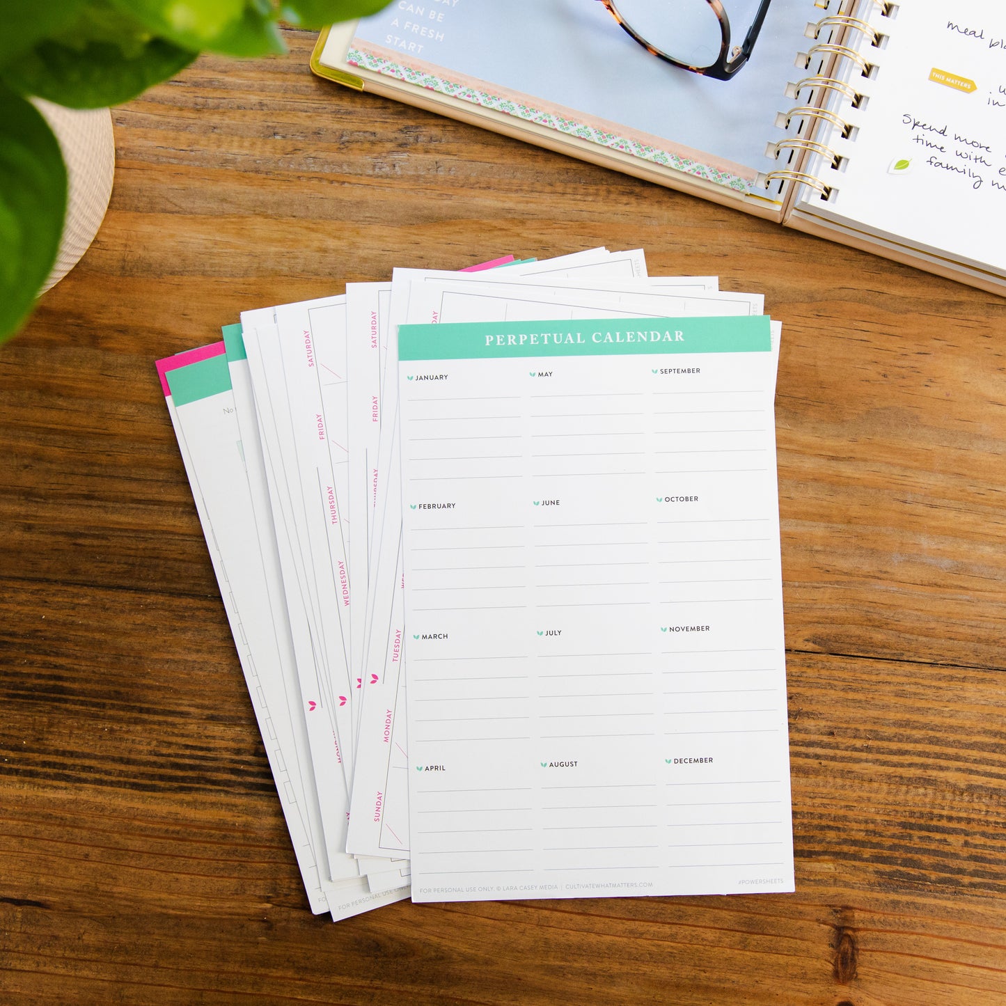 Wildcard Page Pack | Monthly Calendars