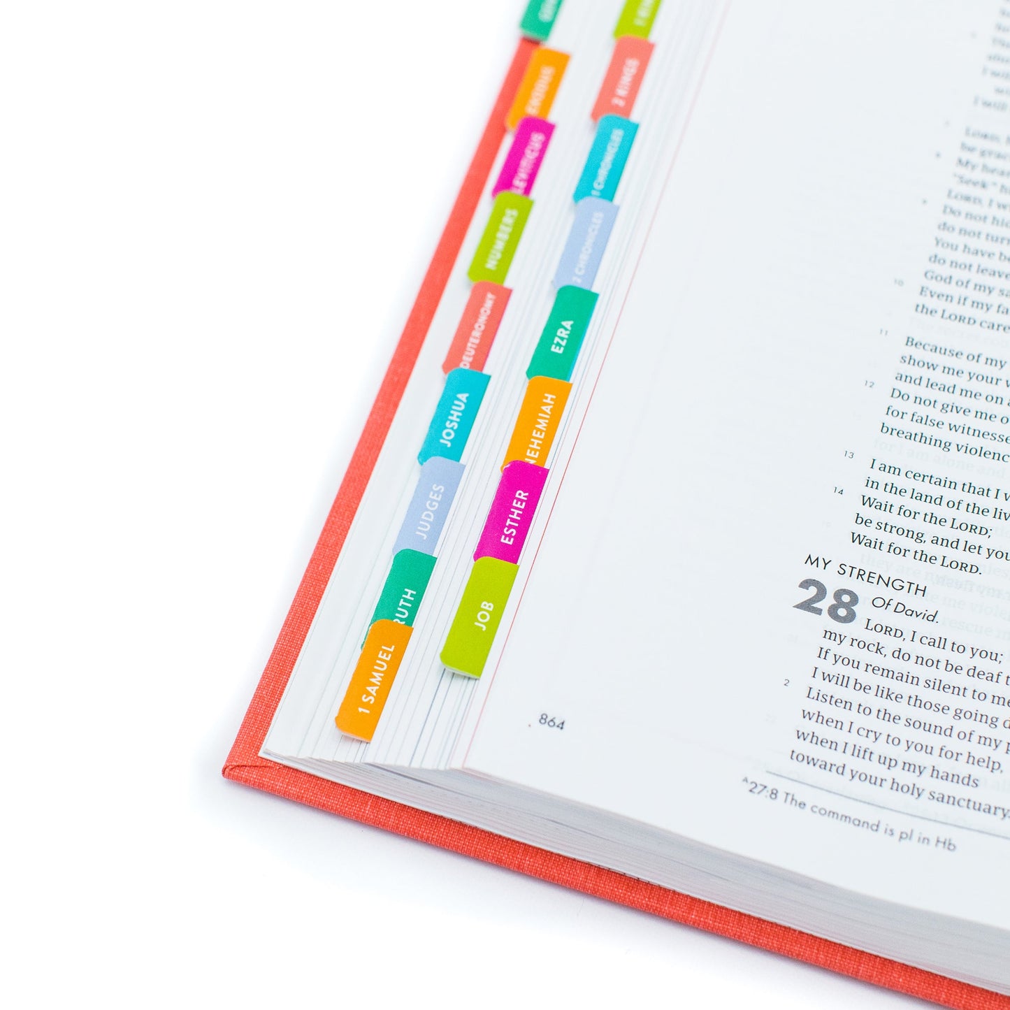 Lara Casey-2019-Cultivate What Matters-Cultivate Bible-Bible Tabs-Old Testament-New Testament-Colorful Bible Tabs-Faith Goal-Bible Reading Goal-Family Devotions-Faith-Church