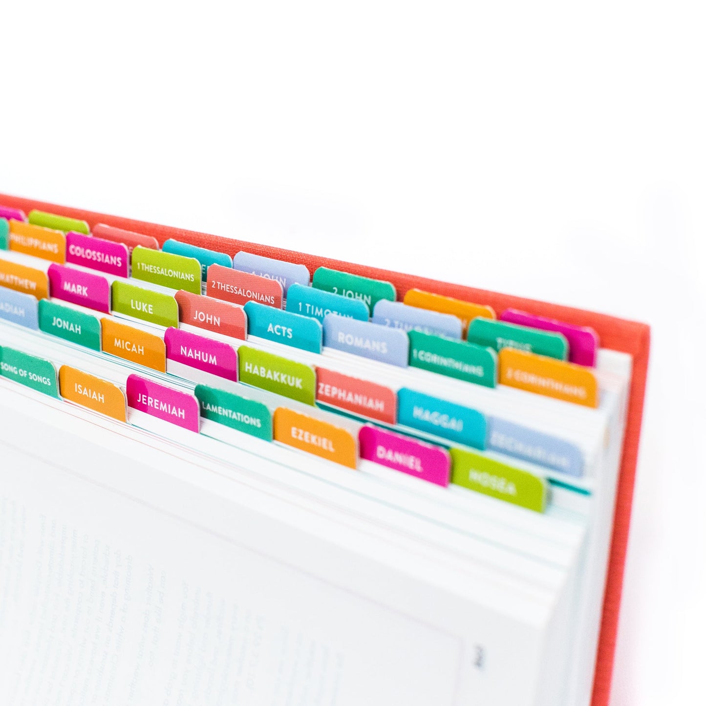 Lara Casey-2019-Cultivate What Matters-Cultivate Bible-Bible Tabs-Old Testament-New Testament-Colorful Bible Tabs-Faith Goal-Bible Reading Goal-Family Devotions-Faith-Church