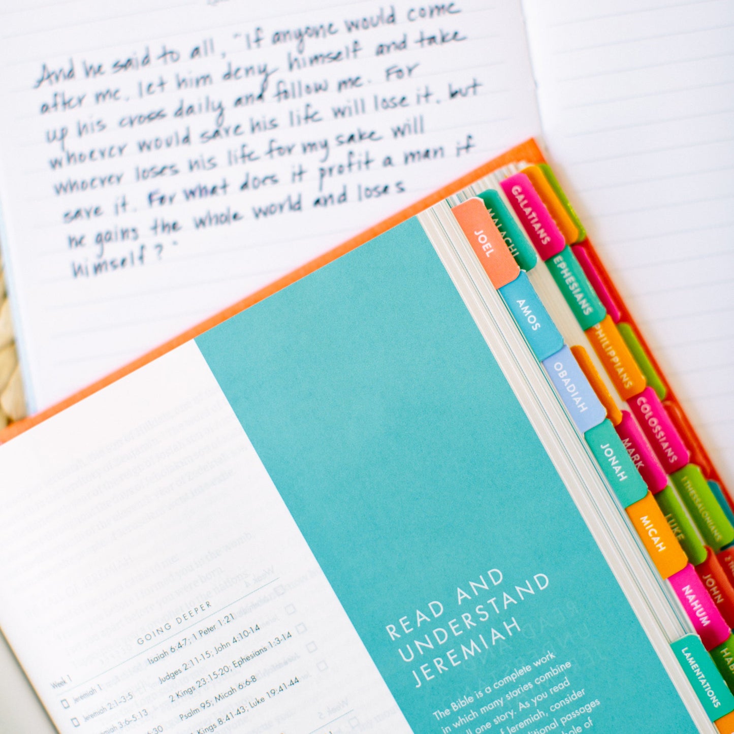 Lara Casey-2019-Cultivate What Matters-Cultivate Bible-Bible Tabs-Old Testament-New Testament-Colorful Bible Tabs-Faith Goal-Bible Reading Goal-Family Devotions-Faith-Church