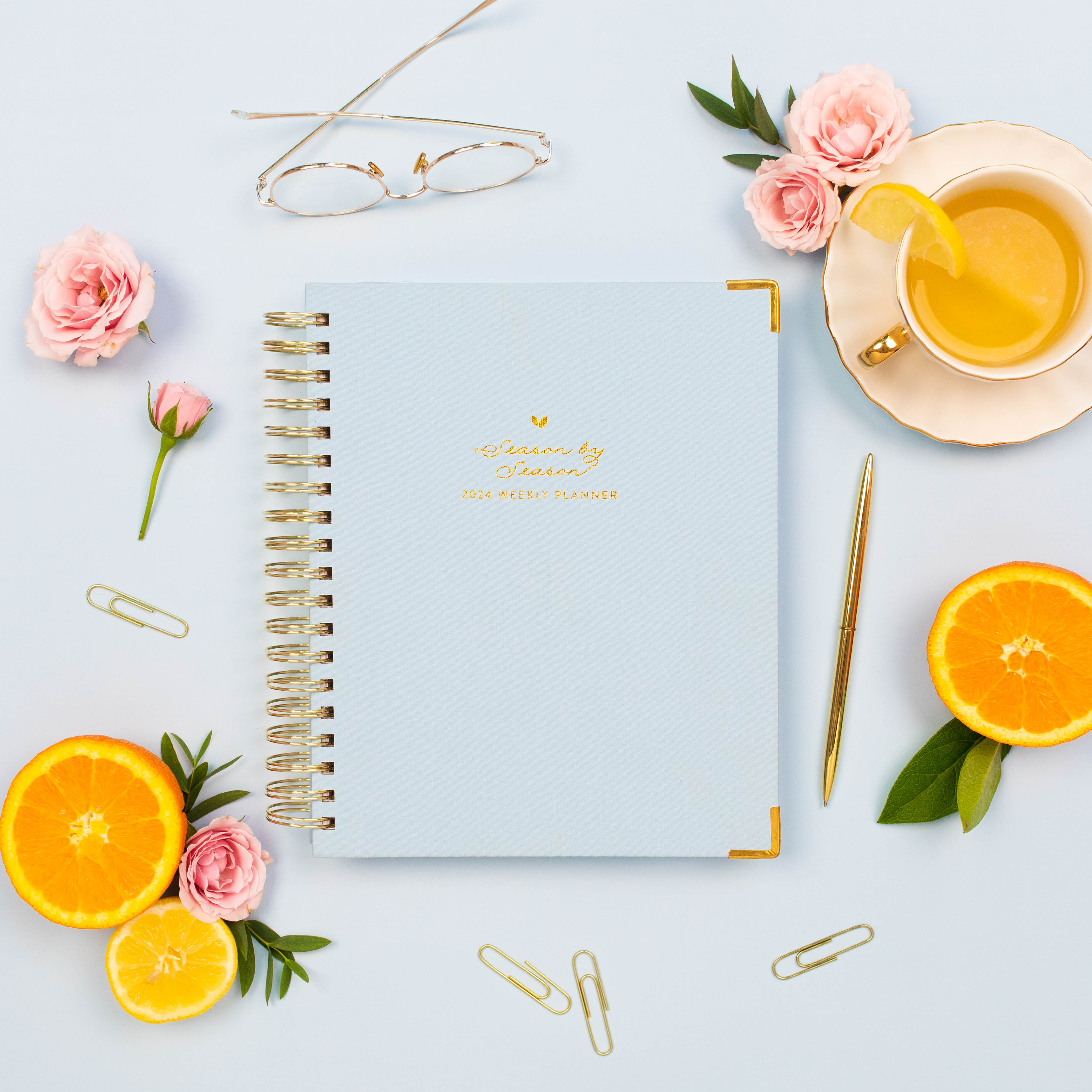 Self Care Club 2024 Muse Annual Daily Planner