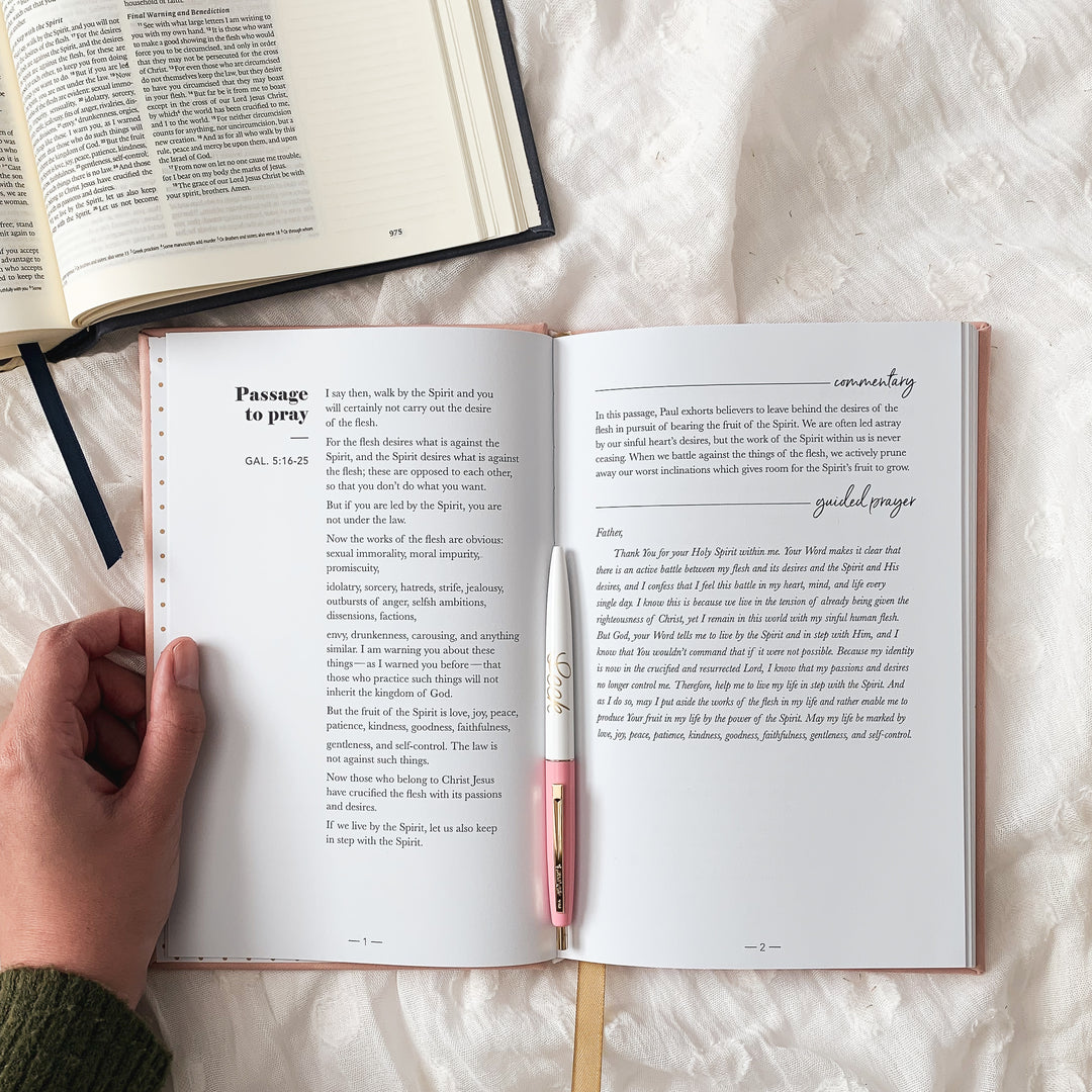 Write and pray scripture journal