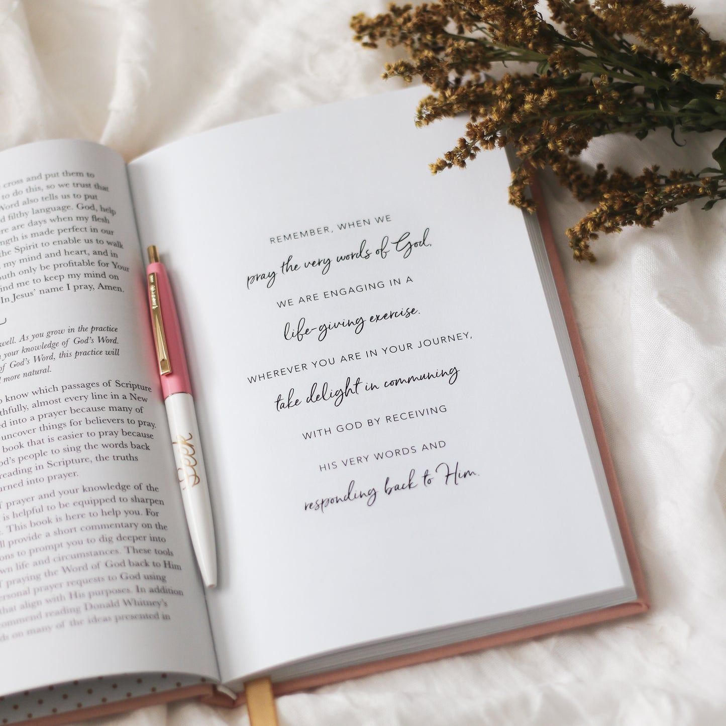 All Things New  - Praying Scripture Journal