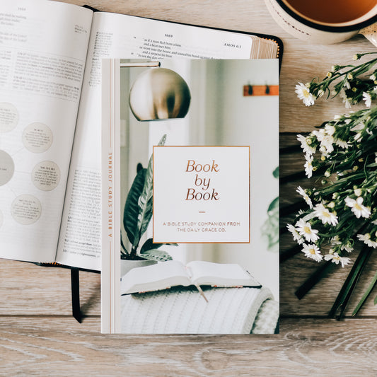 Book by Book | A Bible Study Companion