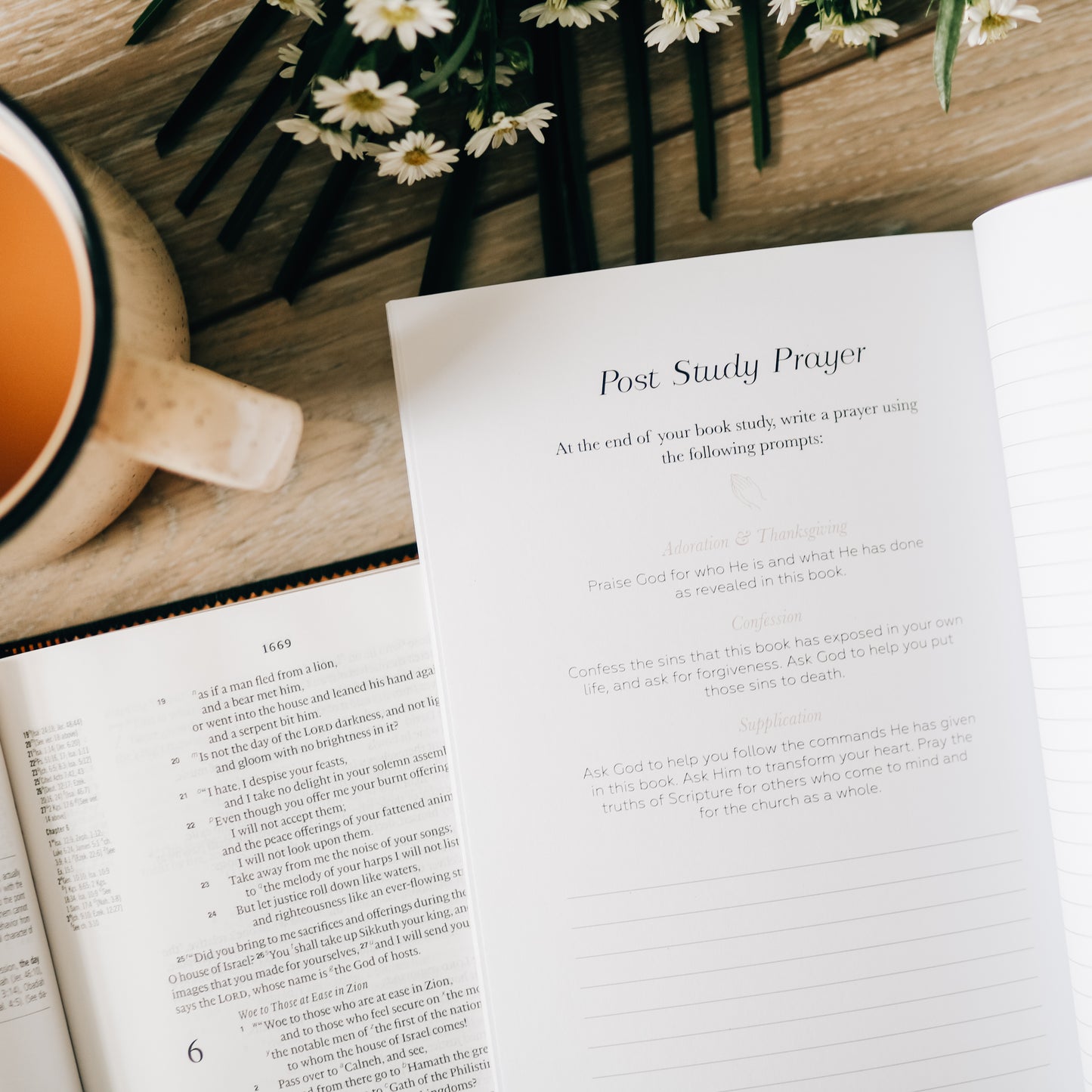 Book by Book | A Bible Study Companion
