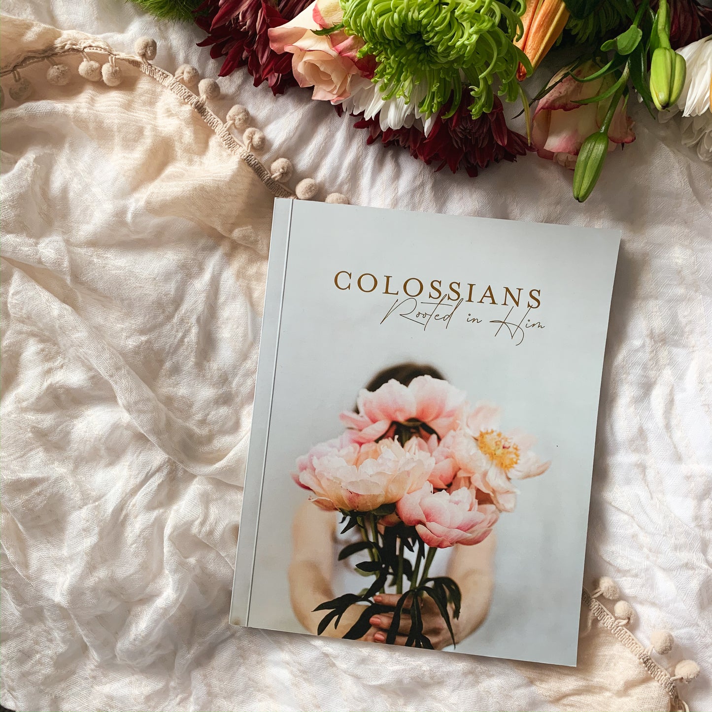 Colossians | Rooted in Him