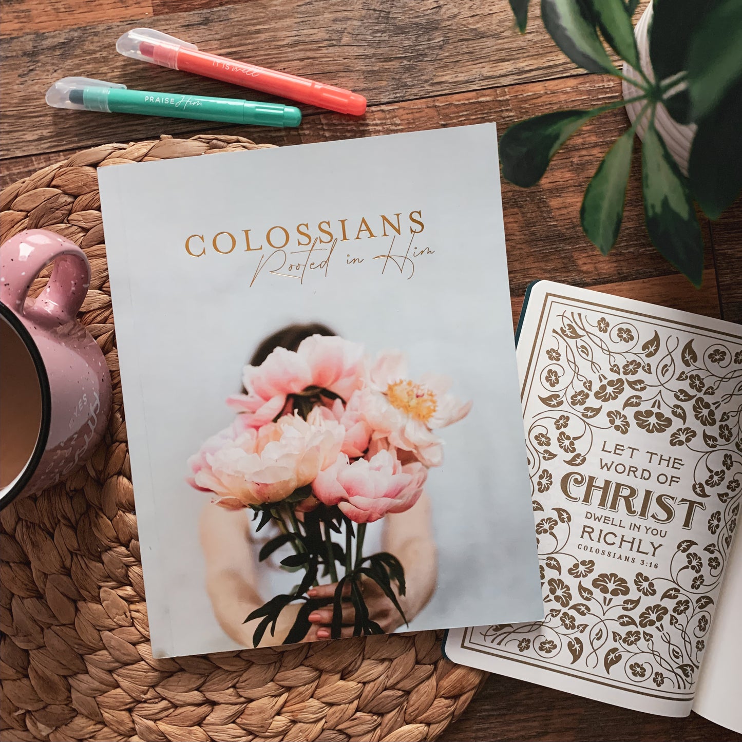Colossians | Rooted in Him