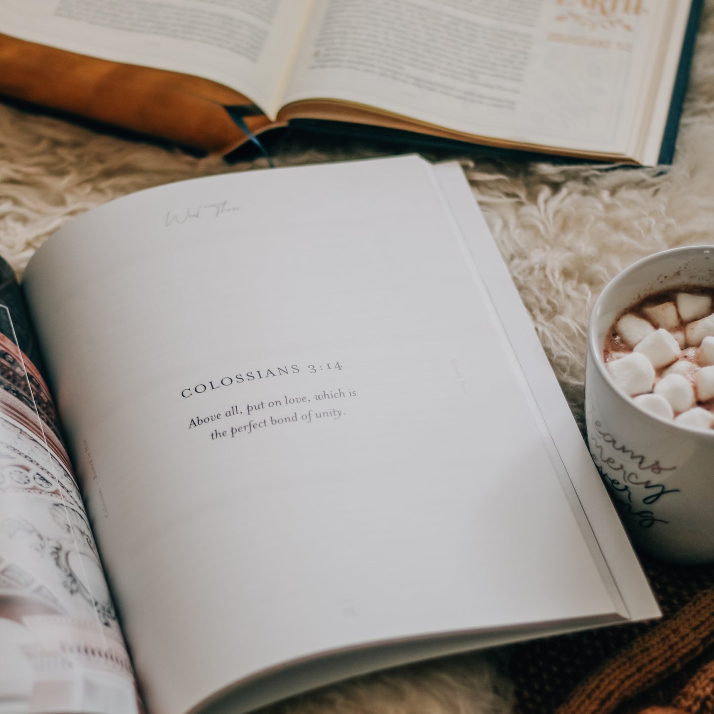 Colossians | Rooted in Him