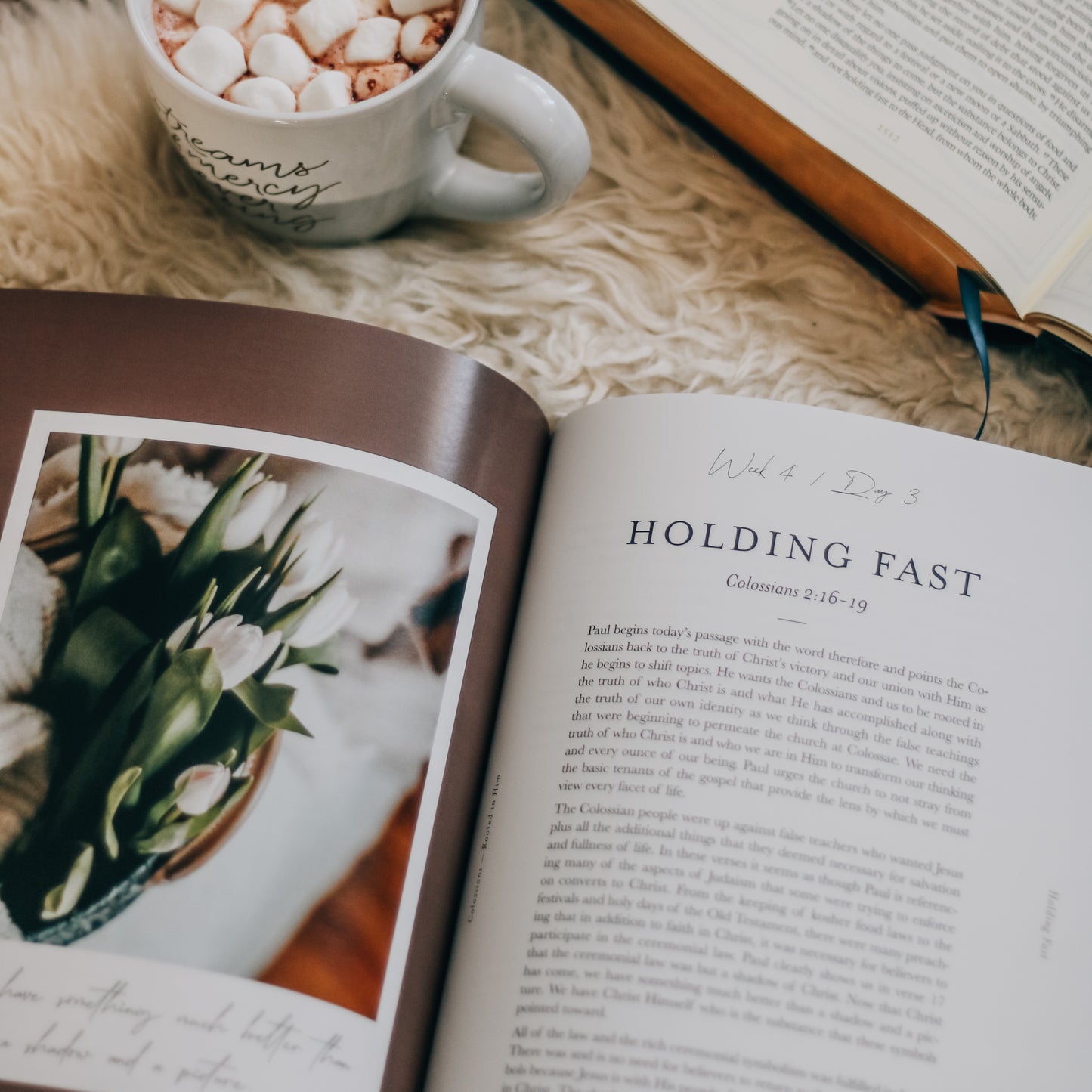 Colossians | Rooted in Him