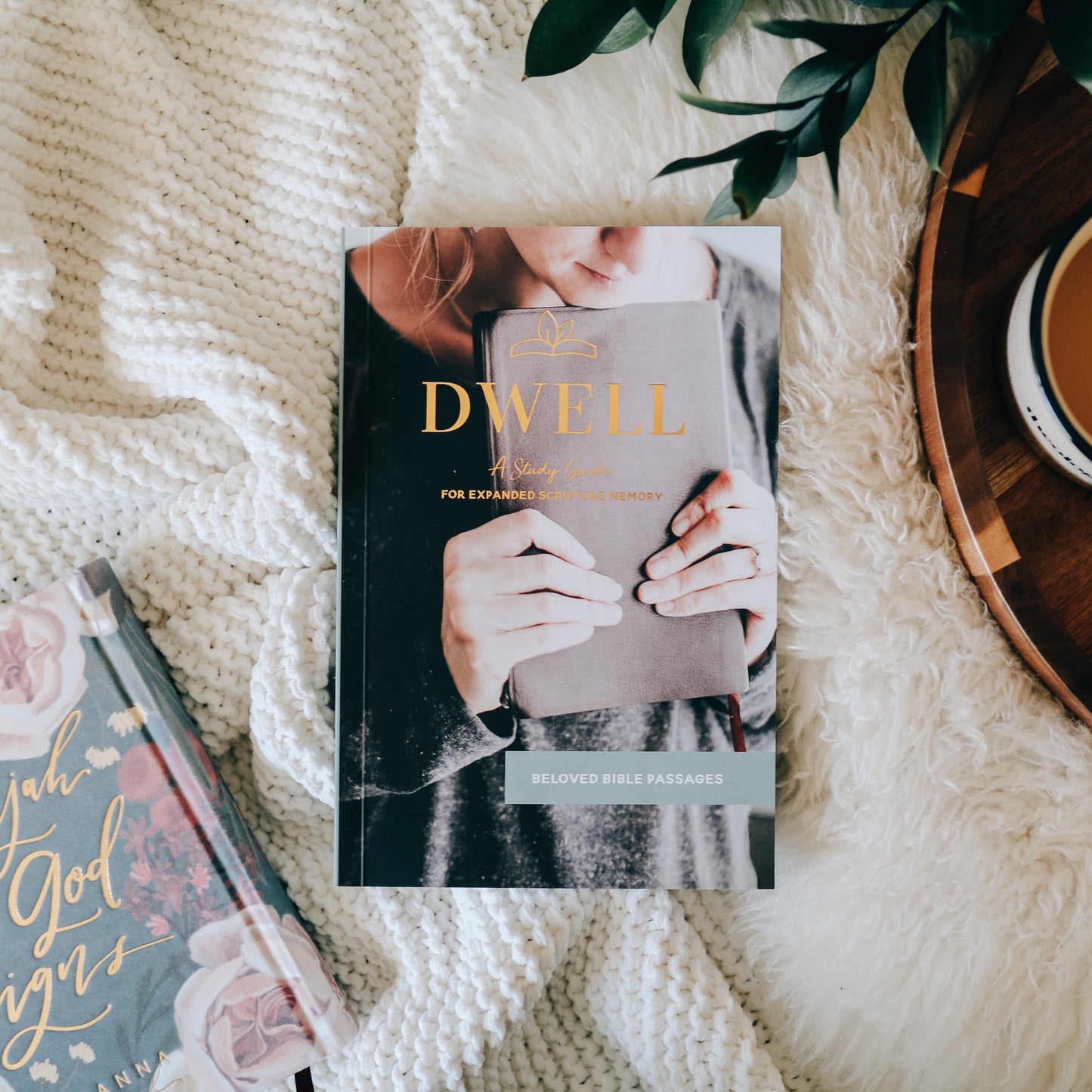 Dwell Scripture Memory Journal | Beloved Bible Passages