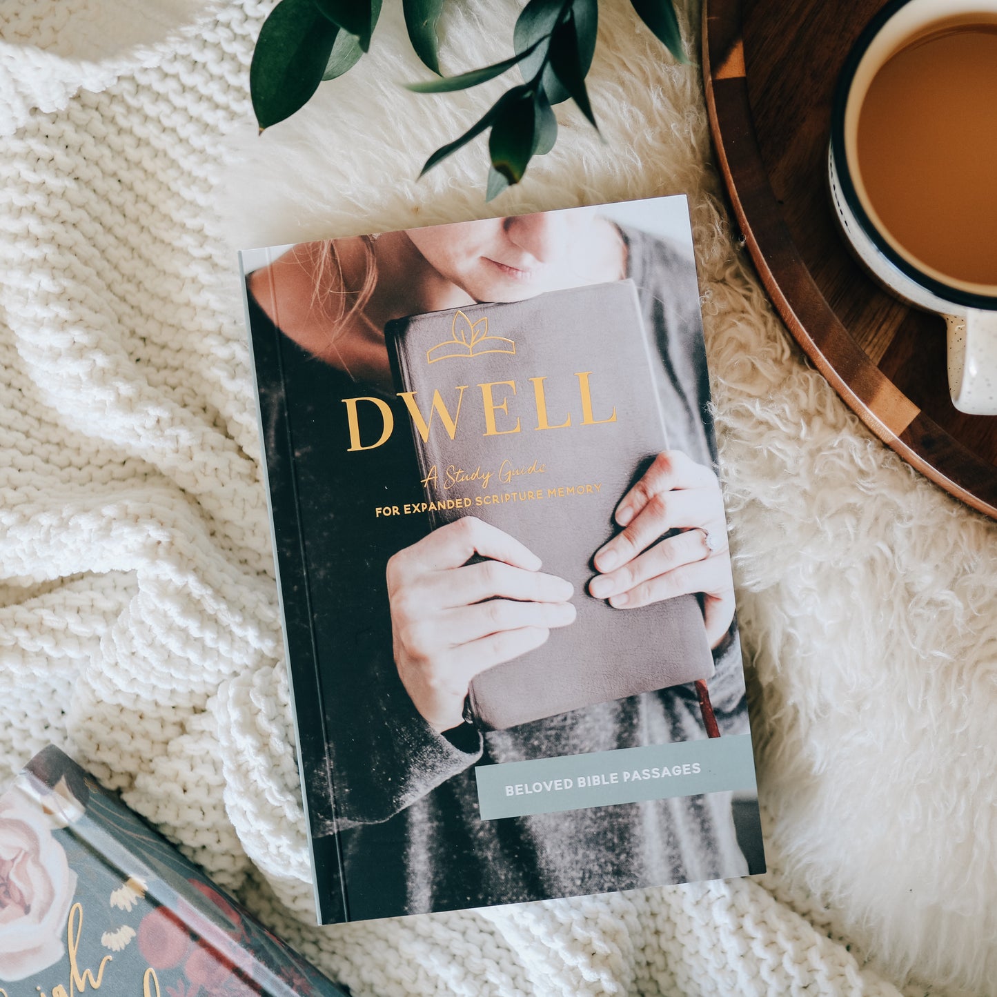 Dwell Scripture Memory Journal | Beloved Bible Passages