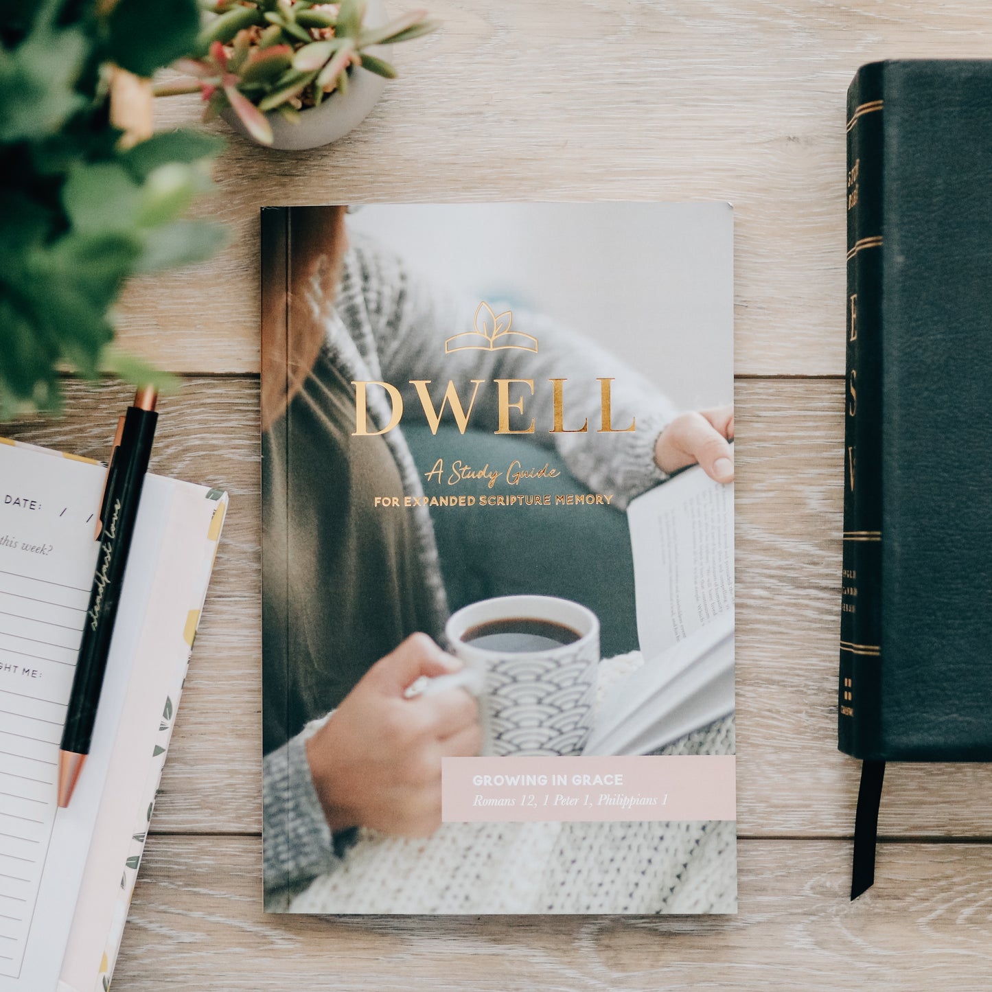 Dwell Scripture Memory Journal | Growing in Grace