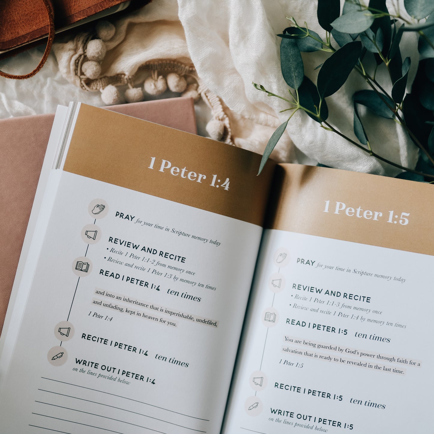 Dwell Scripture Memory Journal | Growing in Grace