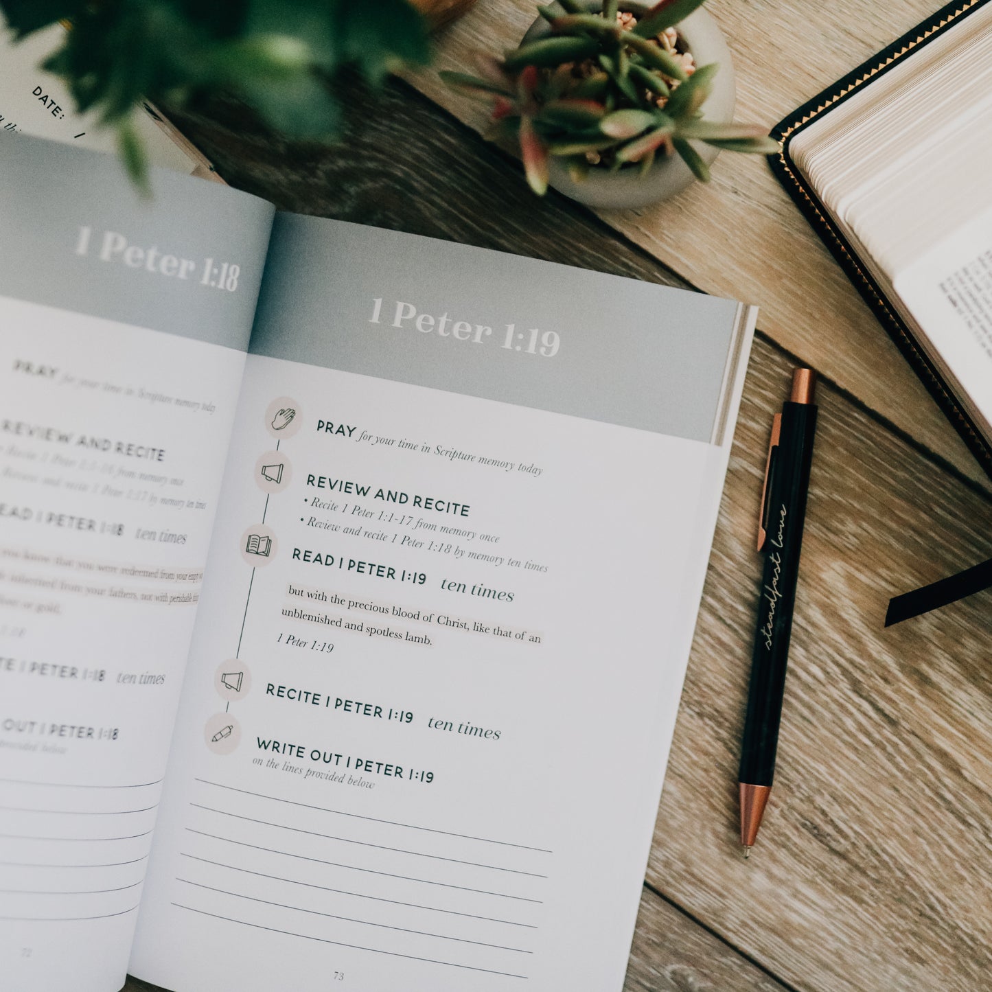 Dwell Scripture Memory Journal | Growing in Grace