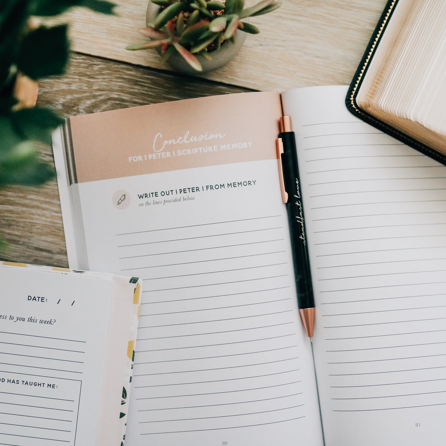 Dwell Scripture Memory Journal | Growing in Grace