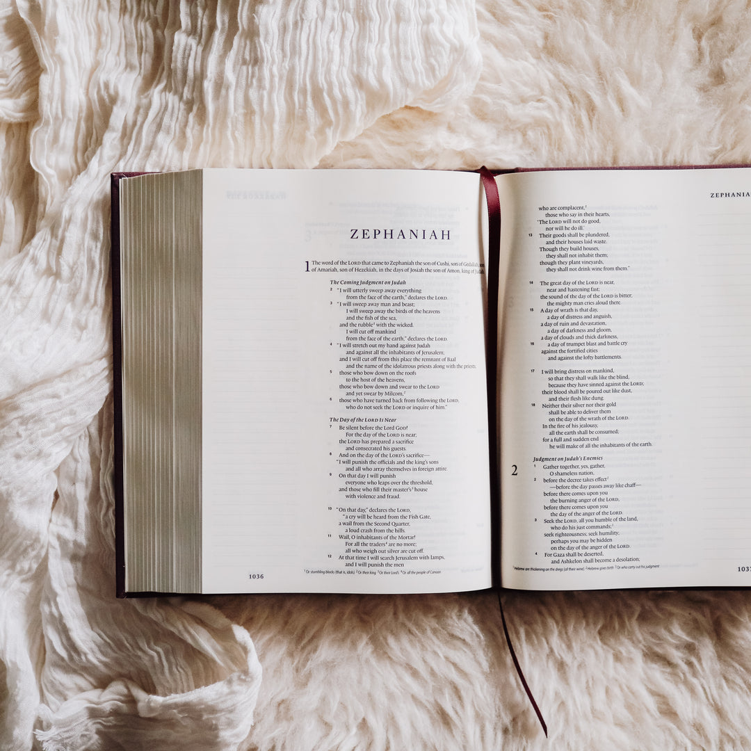 single column esv journaling bible with bookmark