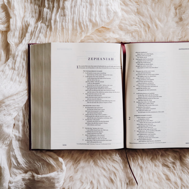 single column esv journaling bible with bookmark