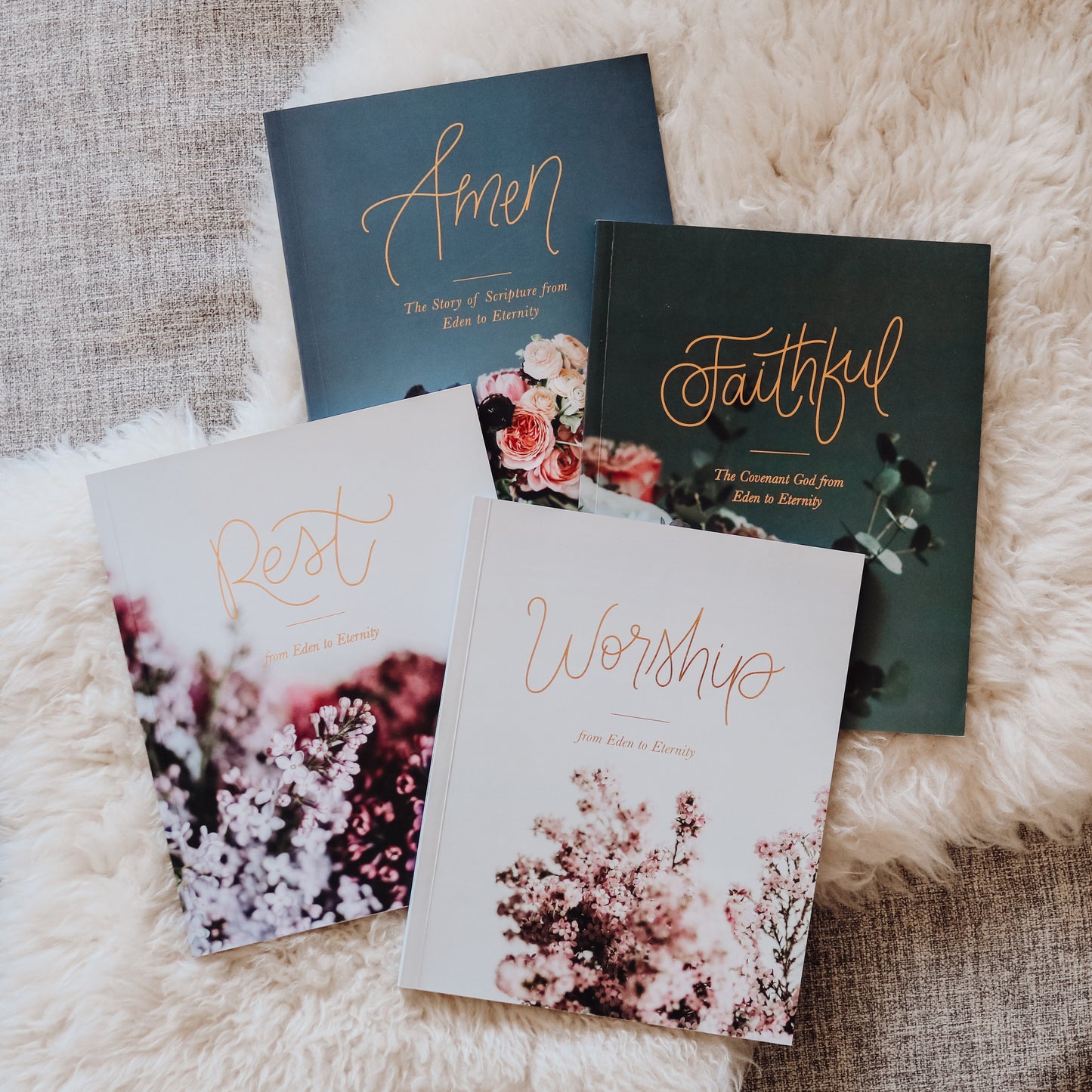 Themes in Scripture Bundle