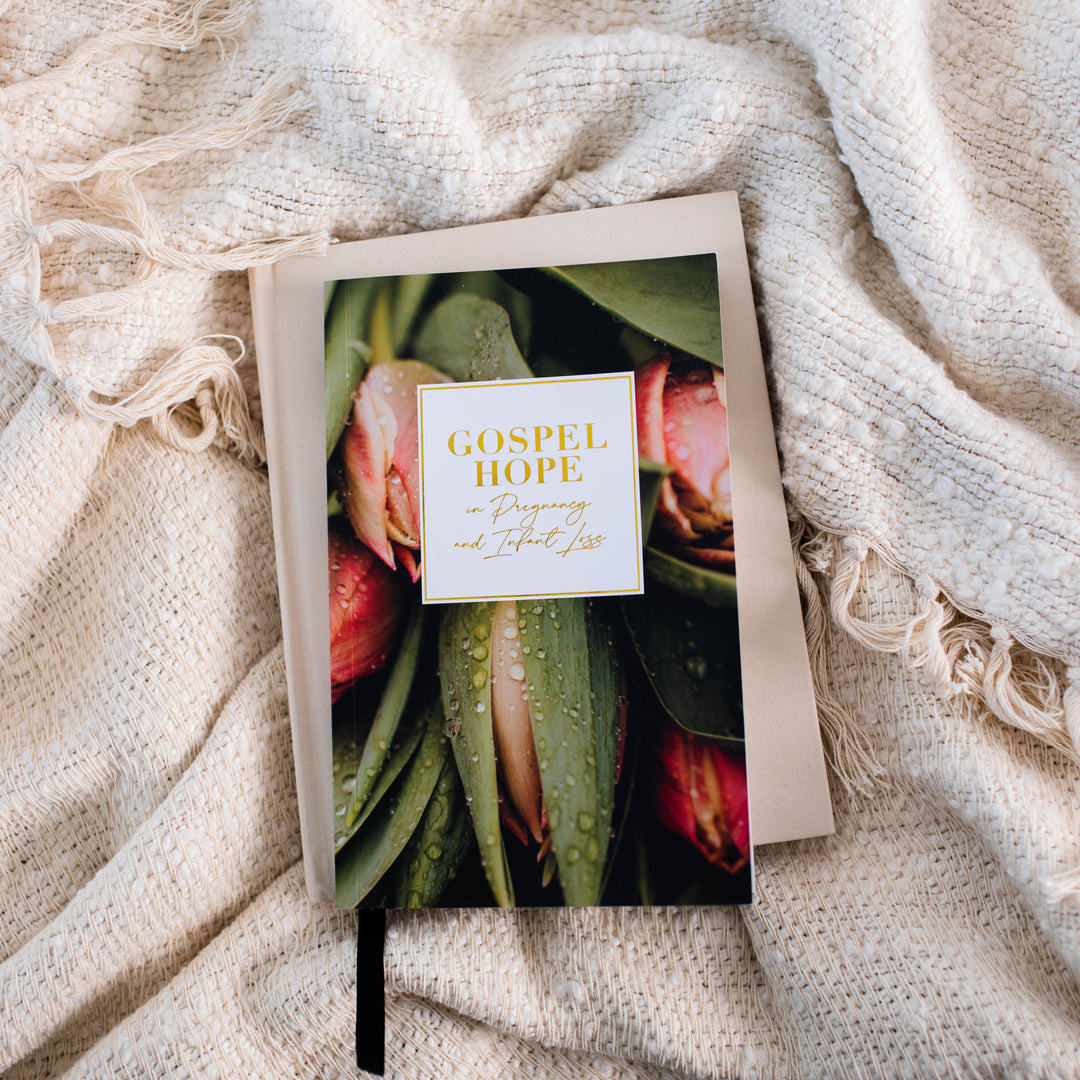 Booklet for Hope in Pregnancy and Infant Loss