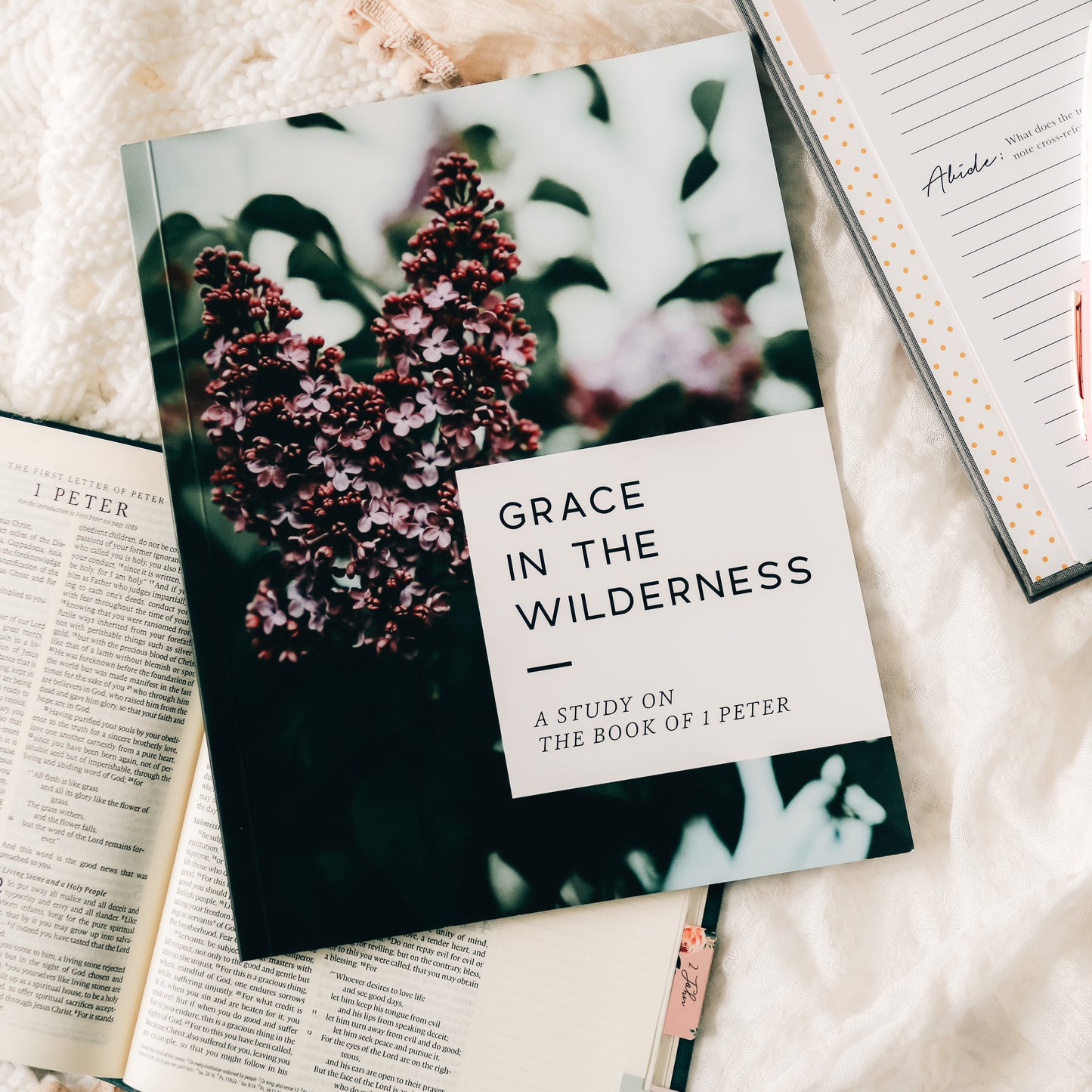Grace in the Wilderness | 1 Peter Study