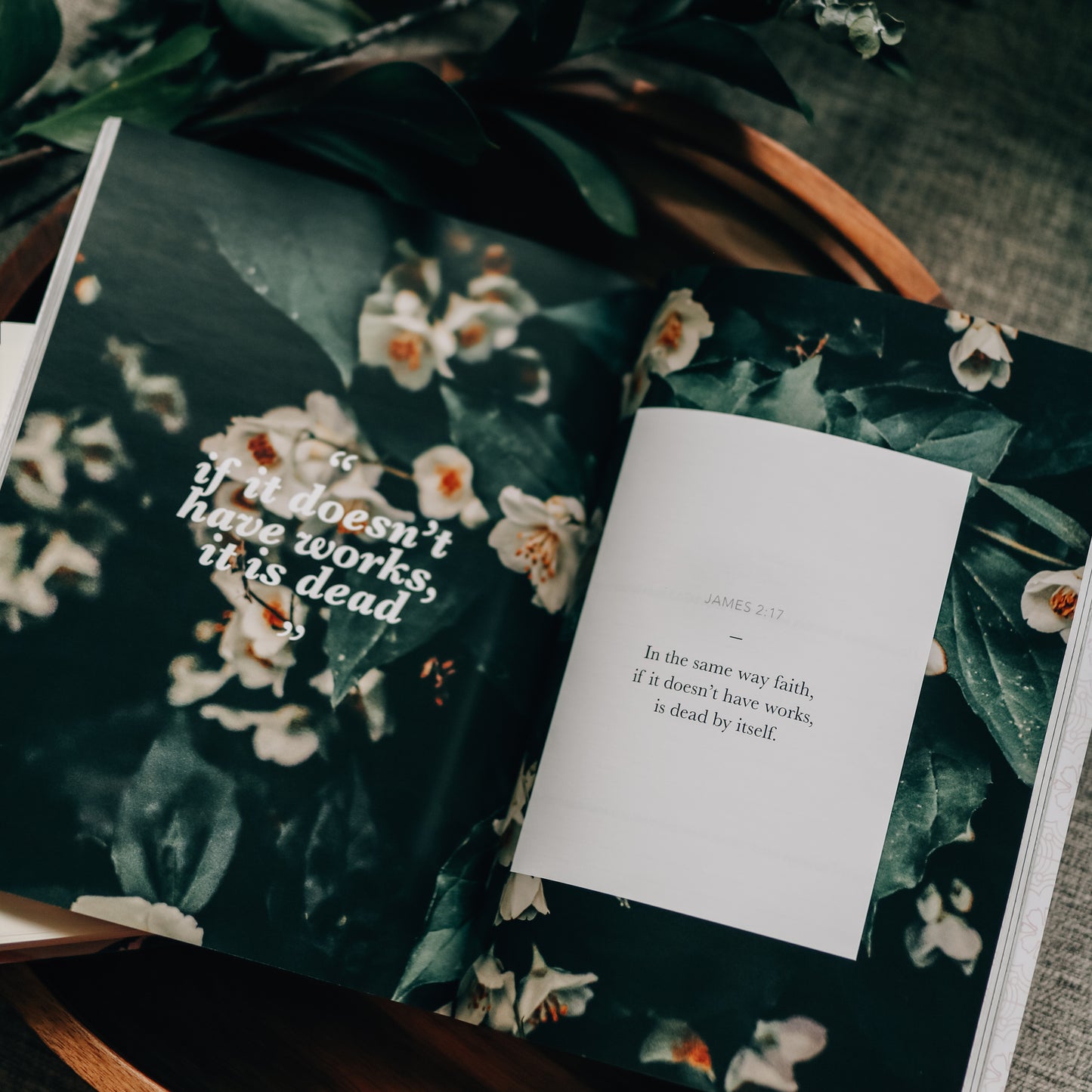 James | The Steadfast Life