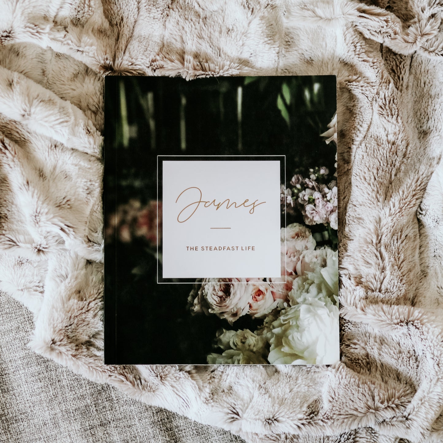 James | The Steadfast Life