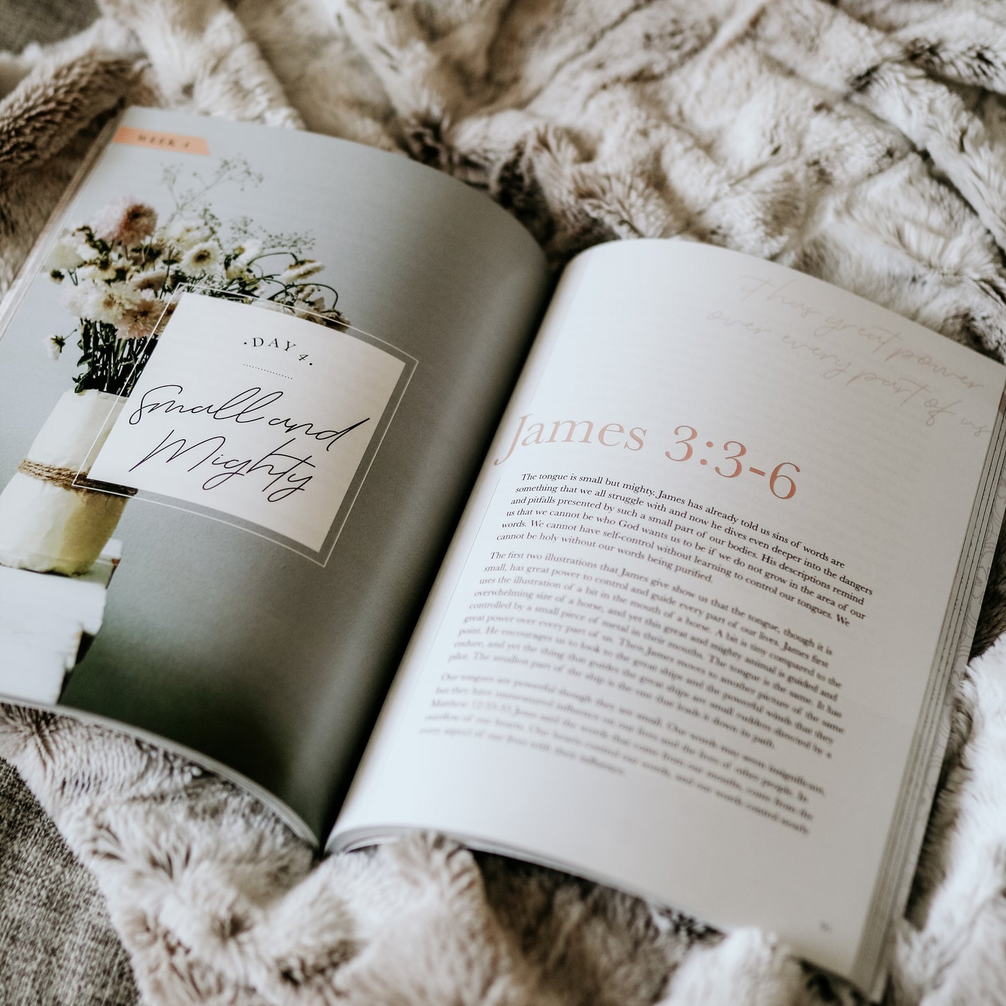 James | The Steadfast Life
