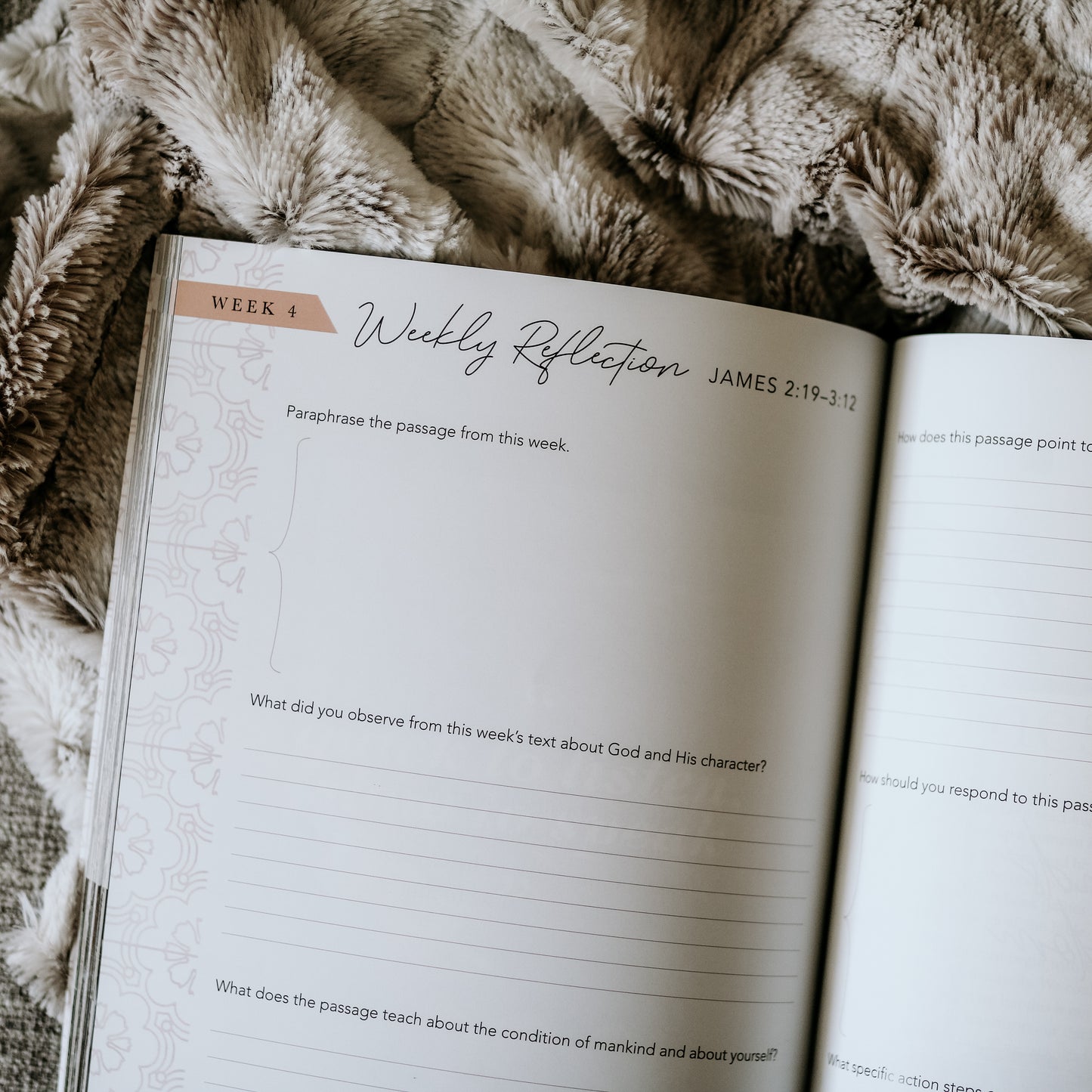James | The Steadfast Life