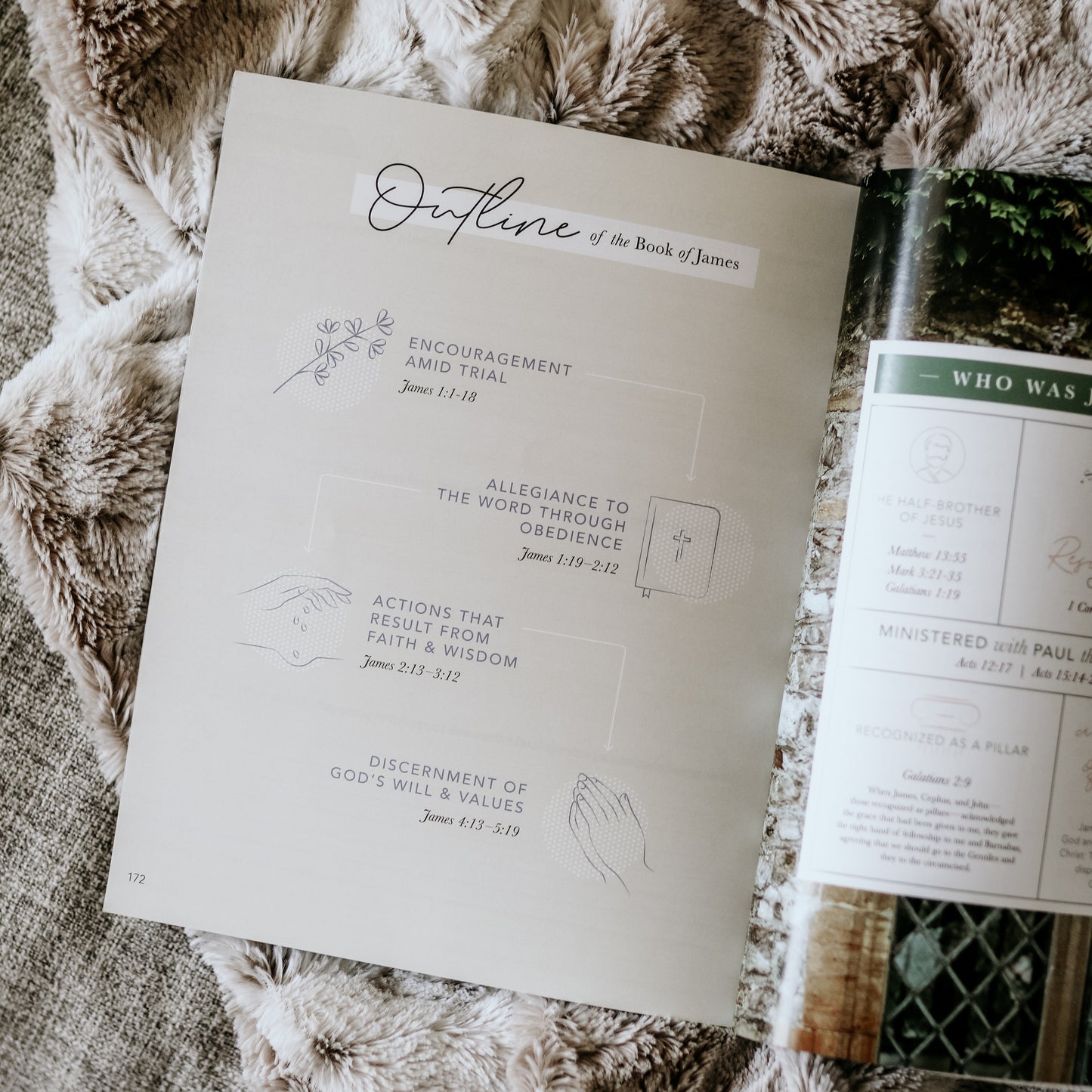 James | The Steadfast Life