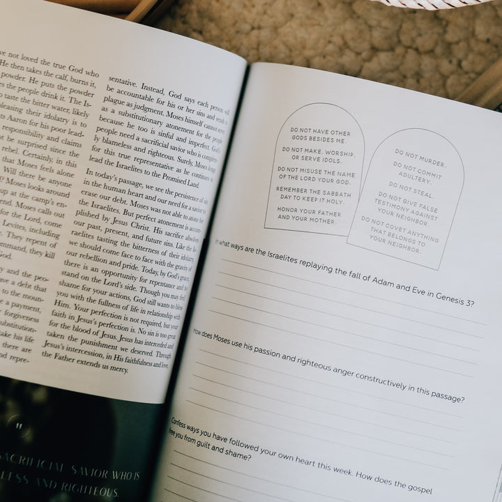 bible study on the life of Moses